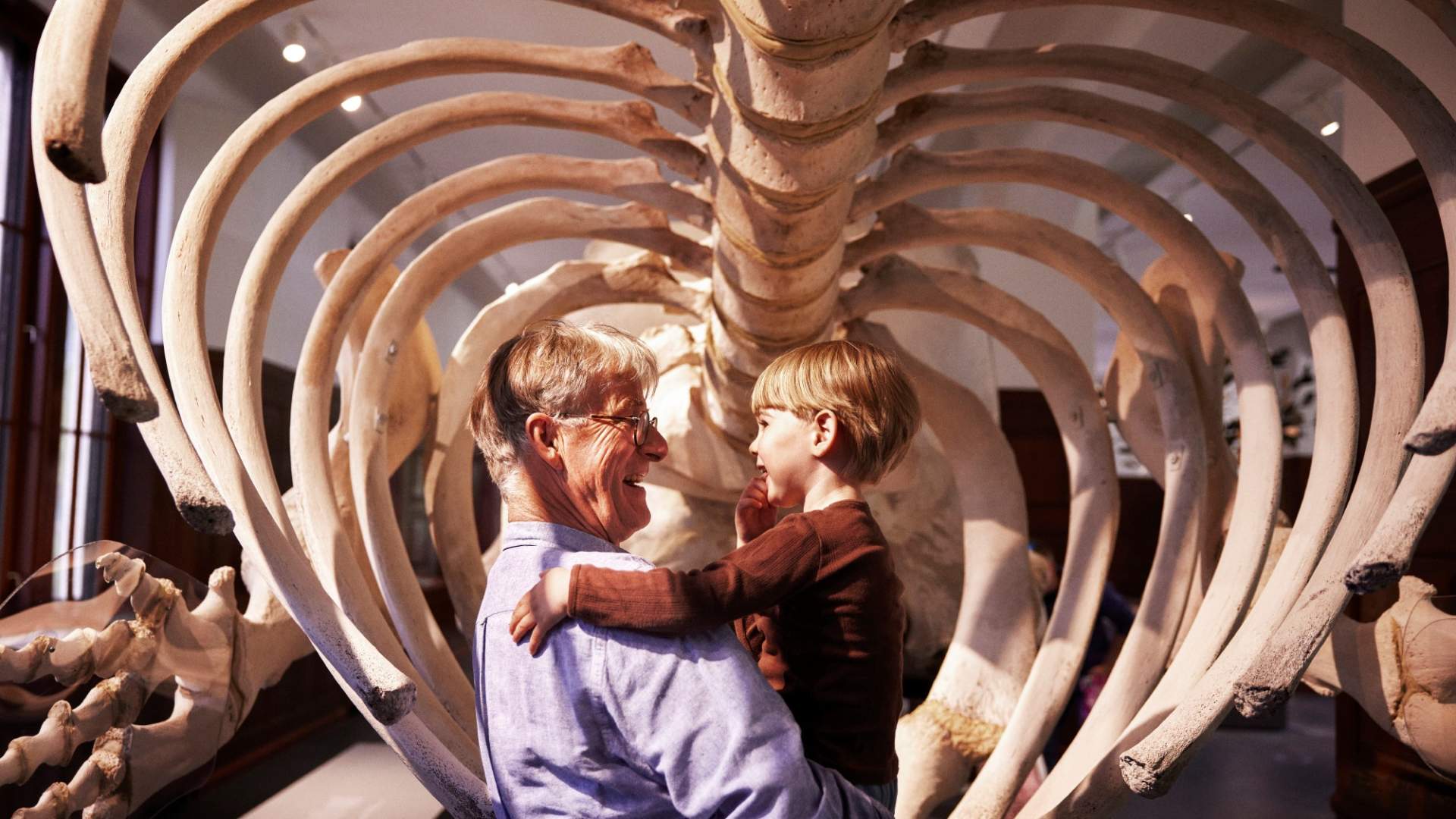 Naturhistorisk museum interiør