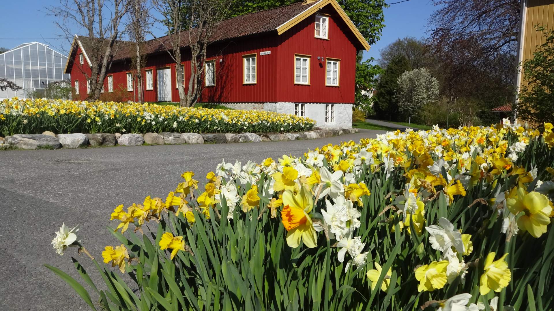 Dømmesmoen