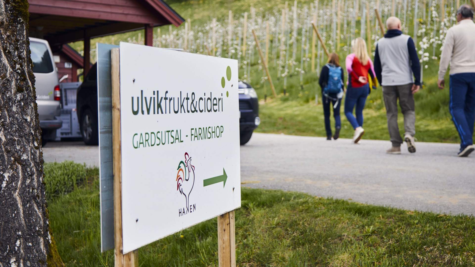 Ulvik_frukt_cideri_1