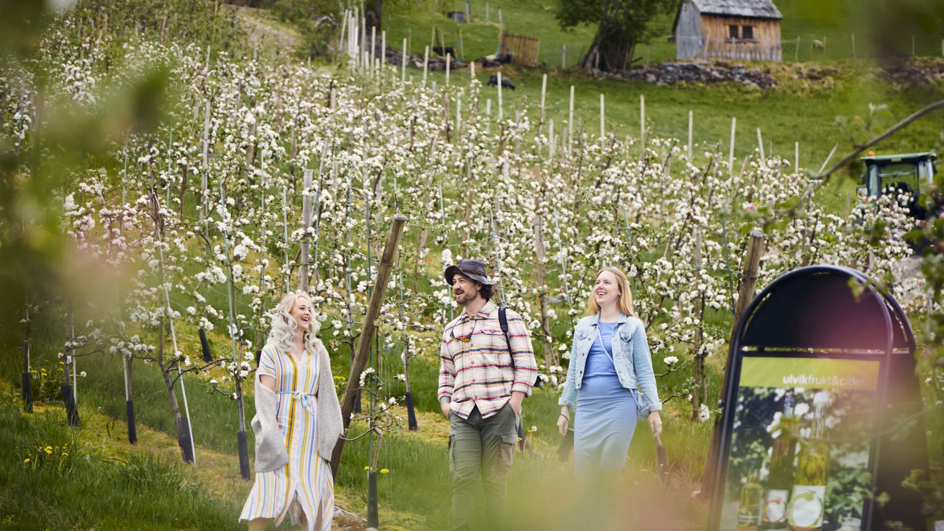 Ulvik_frukt_cideri_2