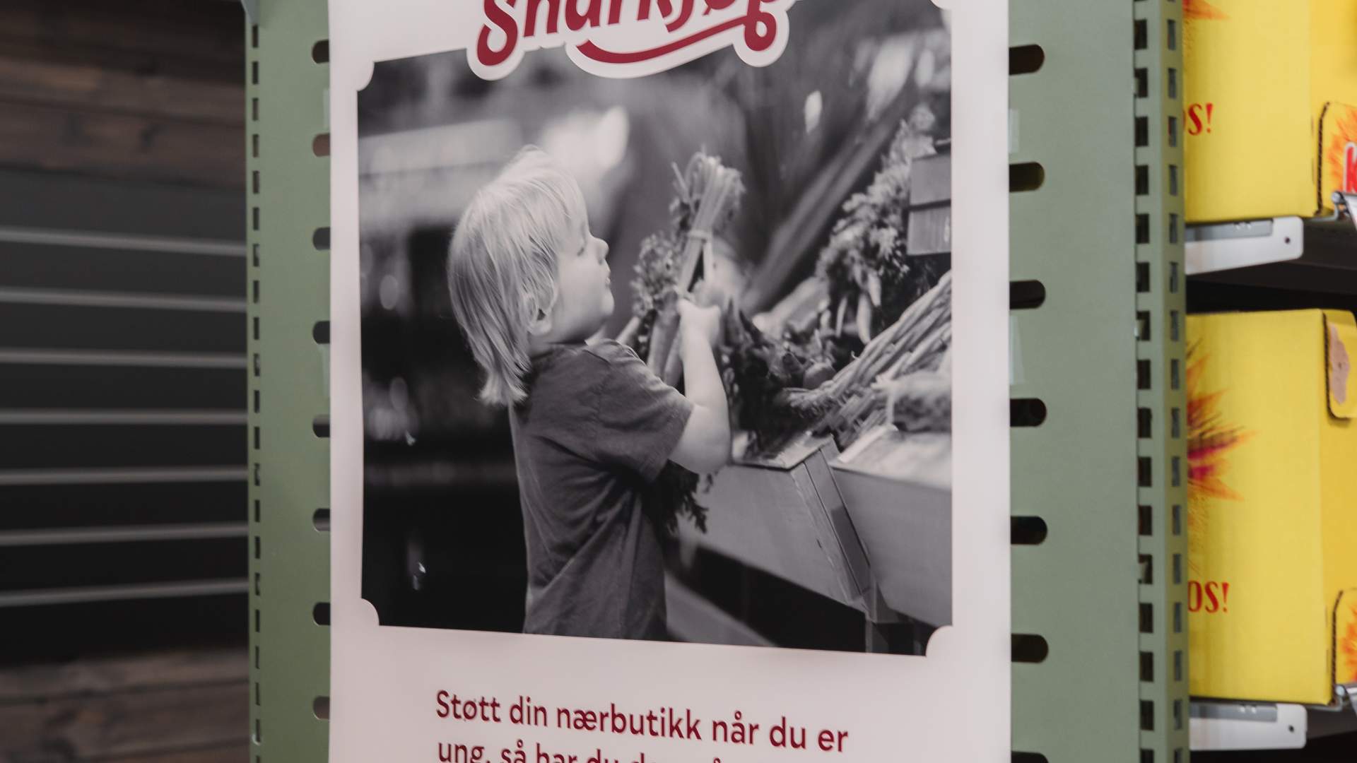 09_06_2025_Snarkjøp Finnskogen_ 2025_Visitostnorge_Foto MPB-749286 – Kopi