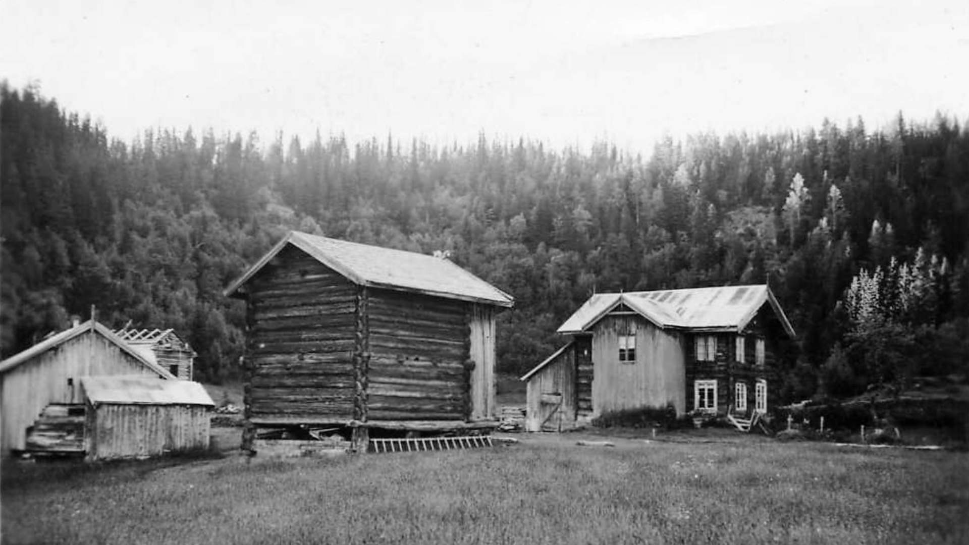 Uppistog Vindlaus  50-talet