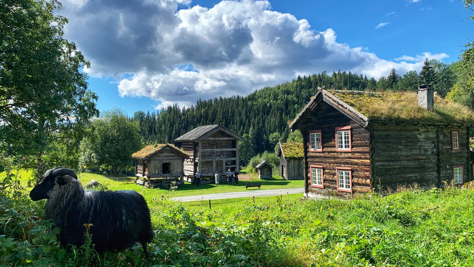 Uppistog Vindlaus med lofta