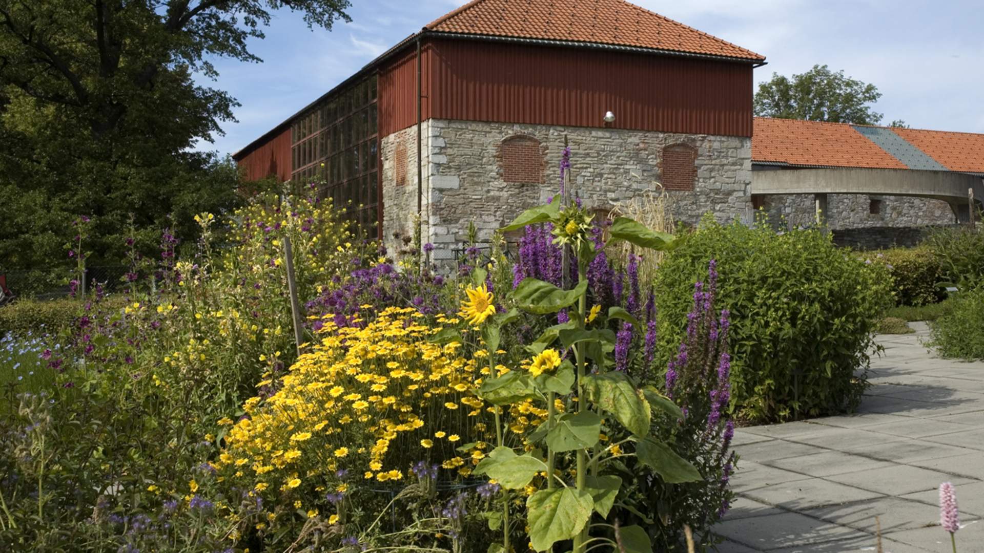Urtehagen 2 fotoavd hedmarksmuseet