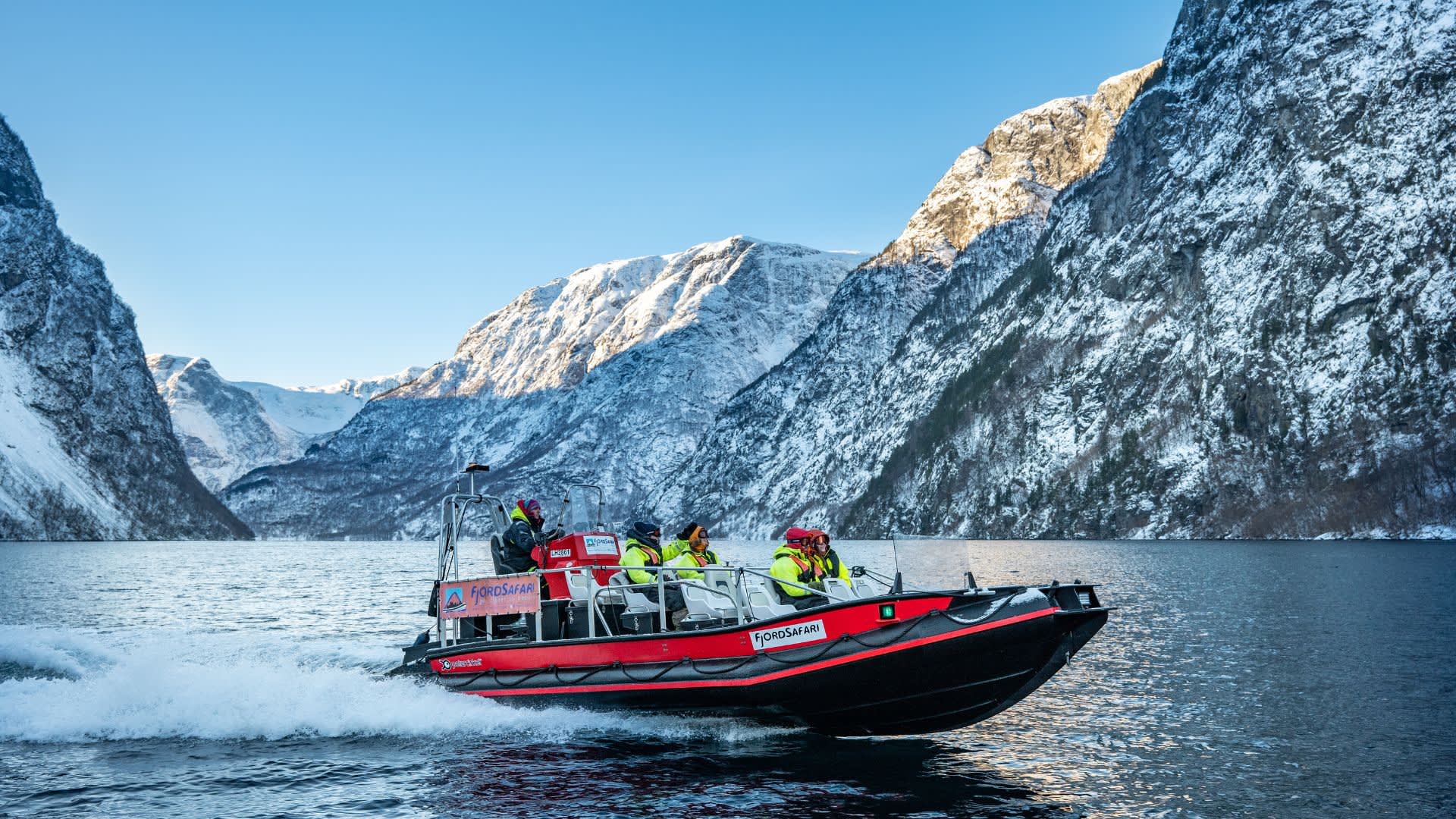 Vinter FjordSafari