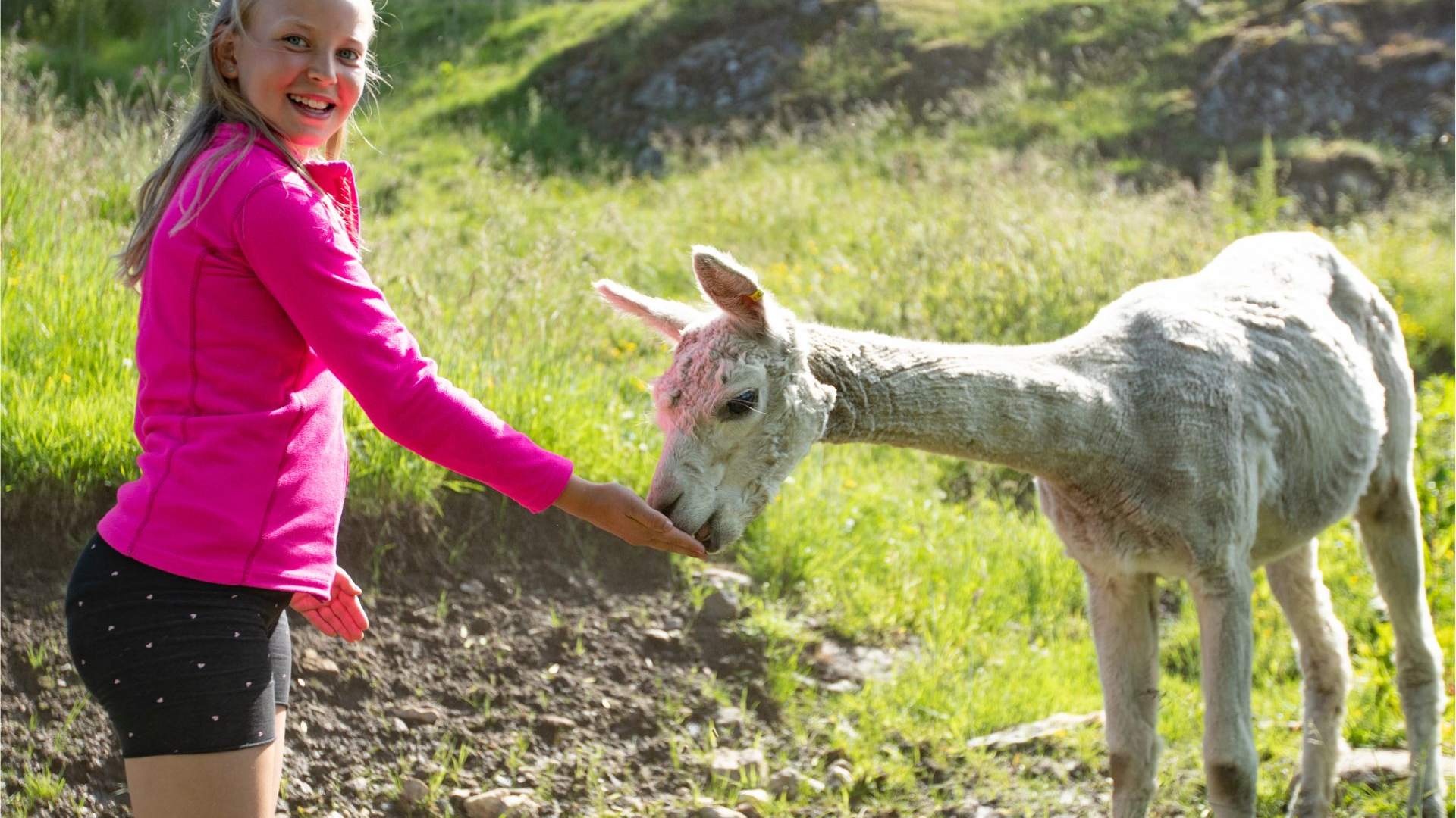 Gardsbesøk, Steim Gard