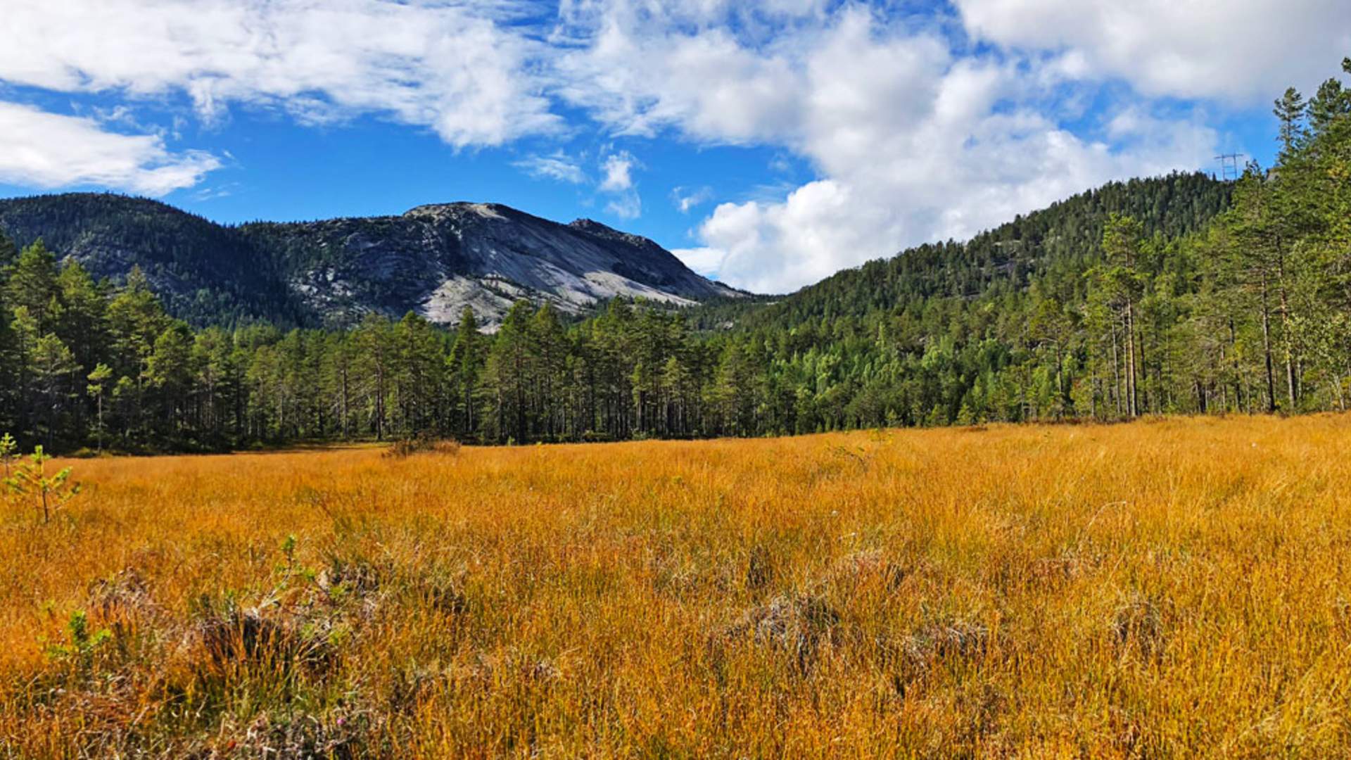 Utsikt-frå-Stemmyr_CAasheim_web