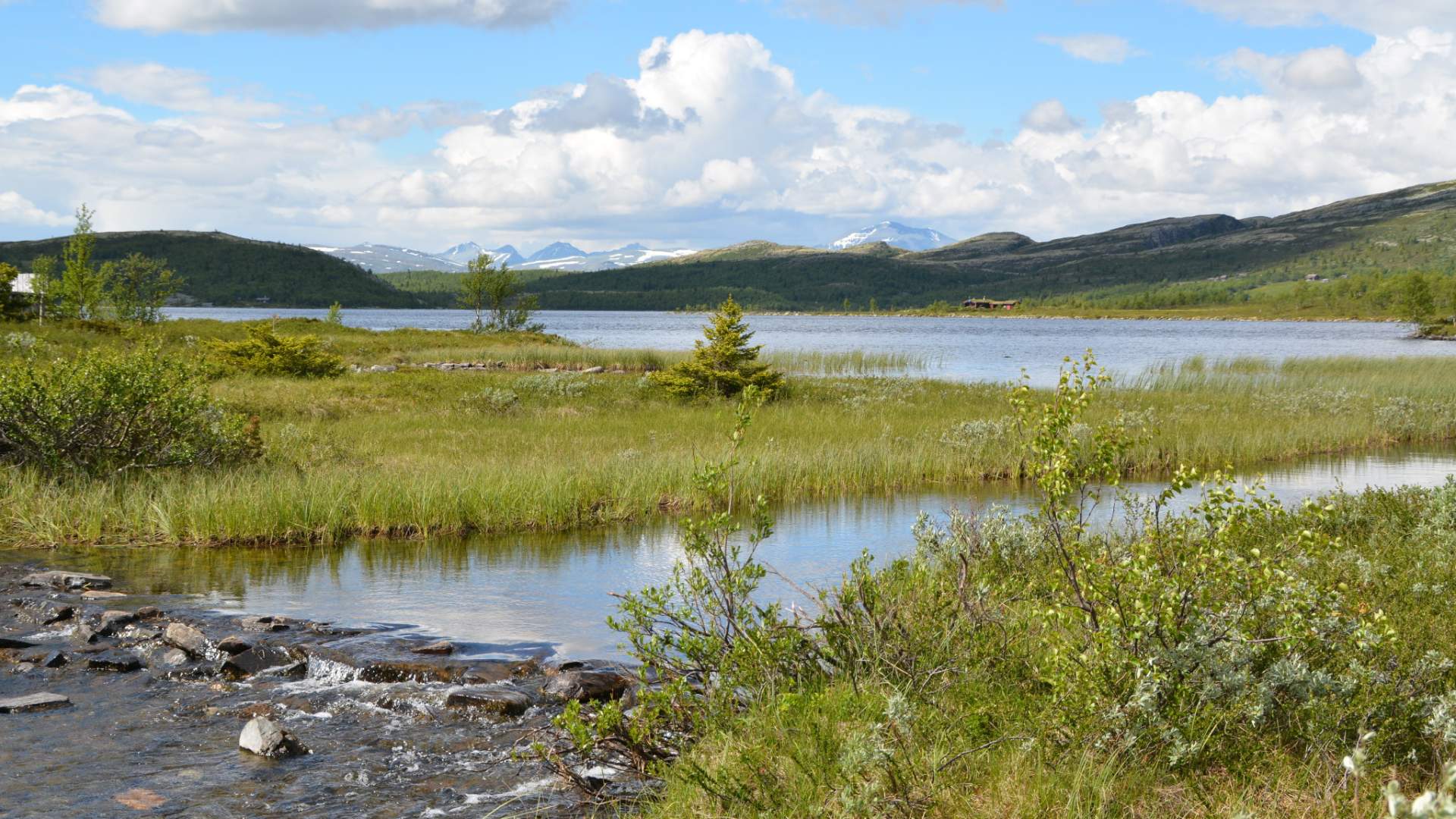 Utsikt mot Rondane fra Svartfjellvegen Foto Julia Hamre_preview