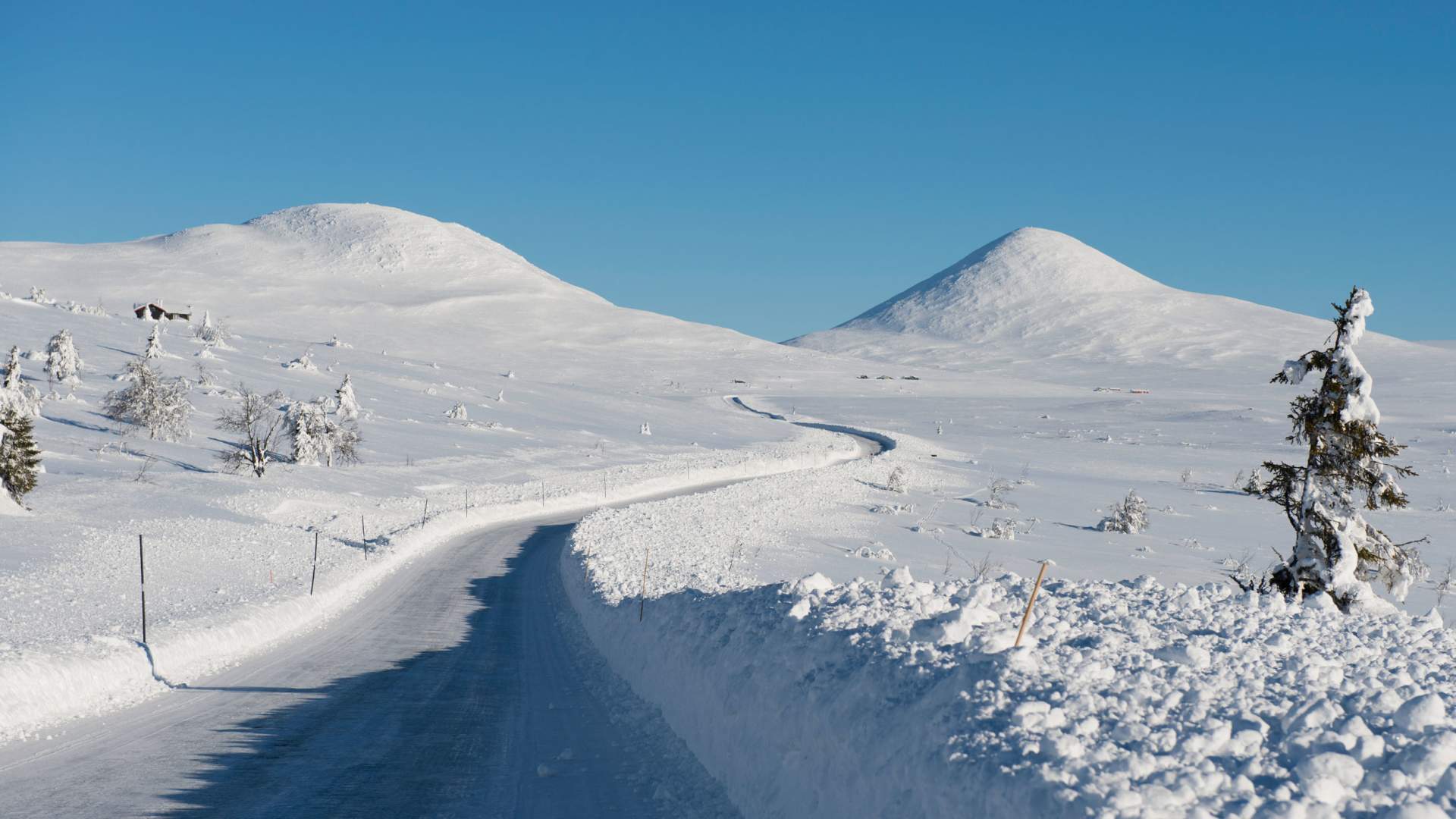 VL-Venabygdsfjellet_Foto_Jarle-Wæhler-Statens-vegvesen