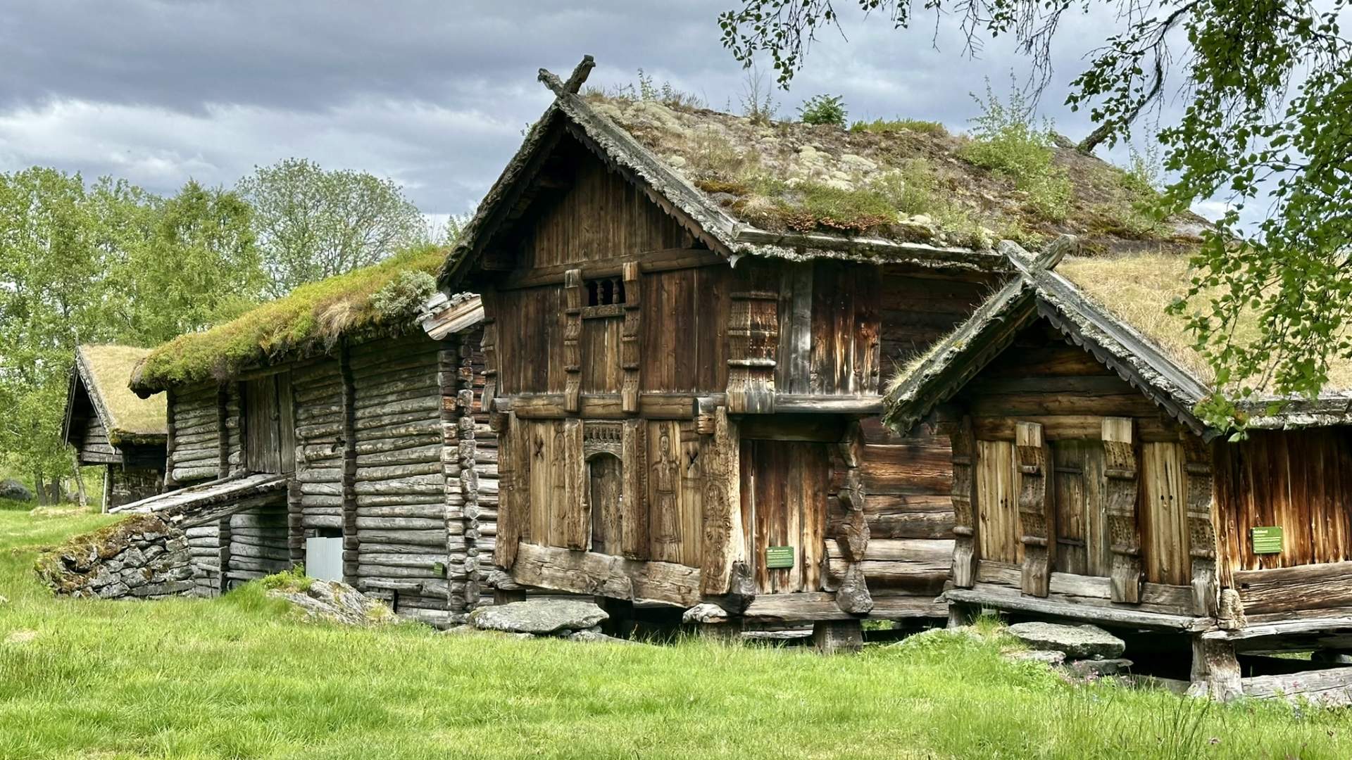 Vår på Grimdalstunet (1)