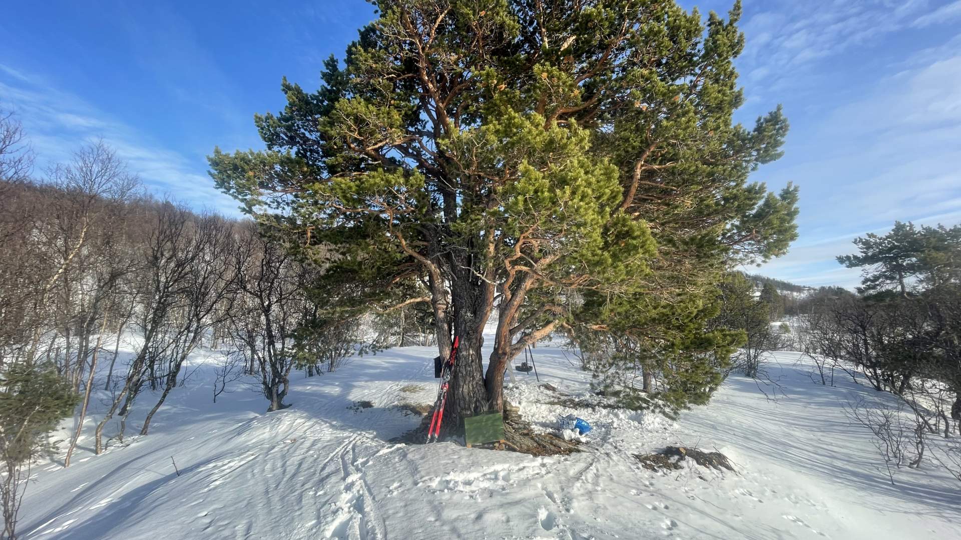 Vassosberget viewpoint1