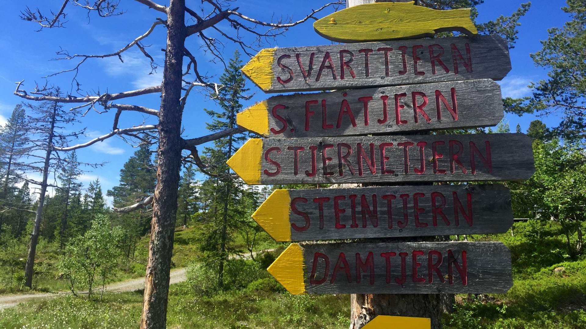 Vikerfjell_TrudeBHauge_1