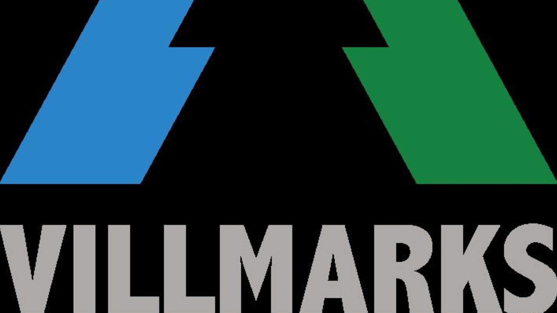 Villmarkscamp logo