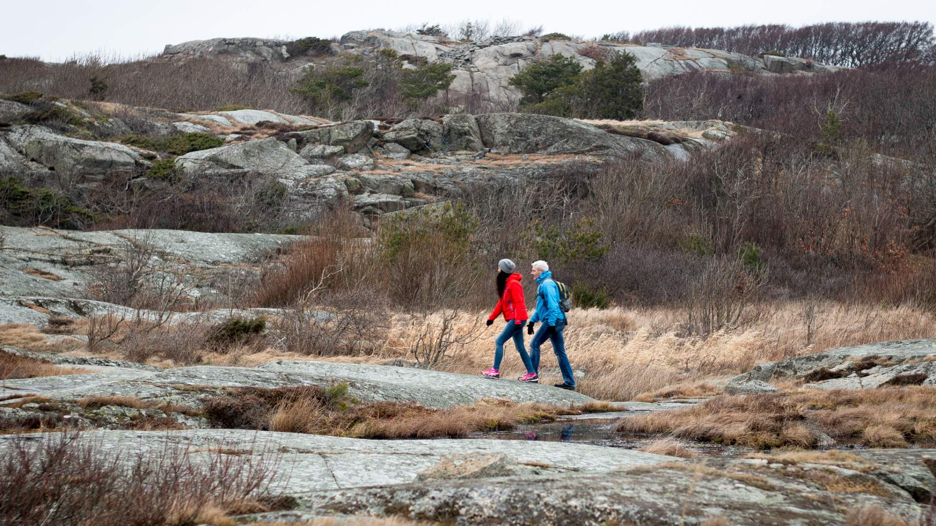 Visit Vestfold kyststi januar 2017-komprimert-7