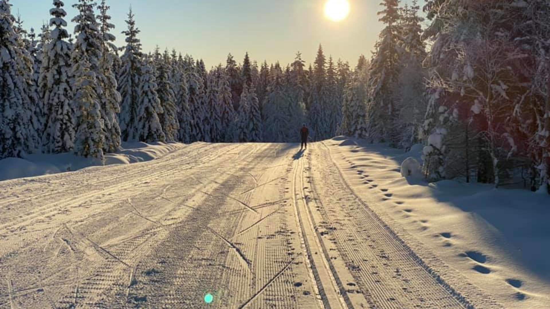 Langrennsløyper på Vollkoia