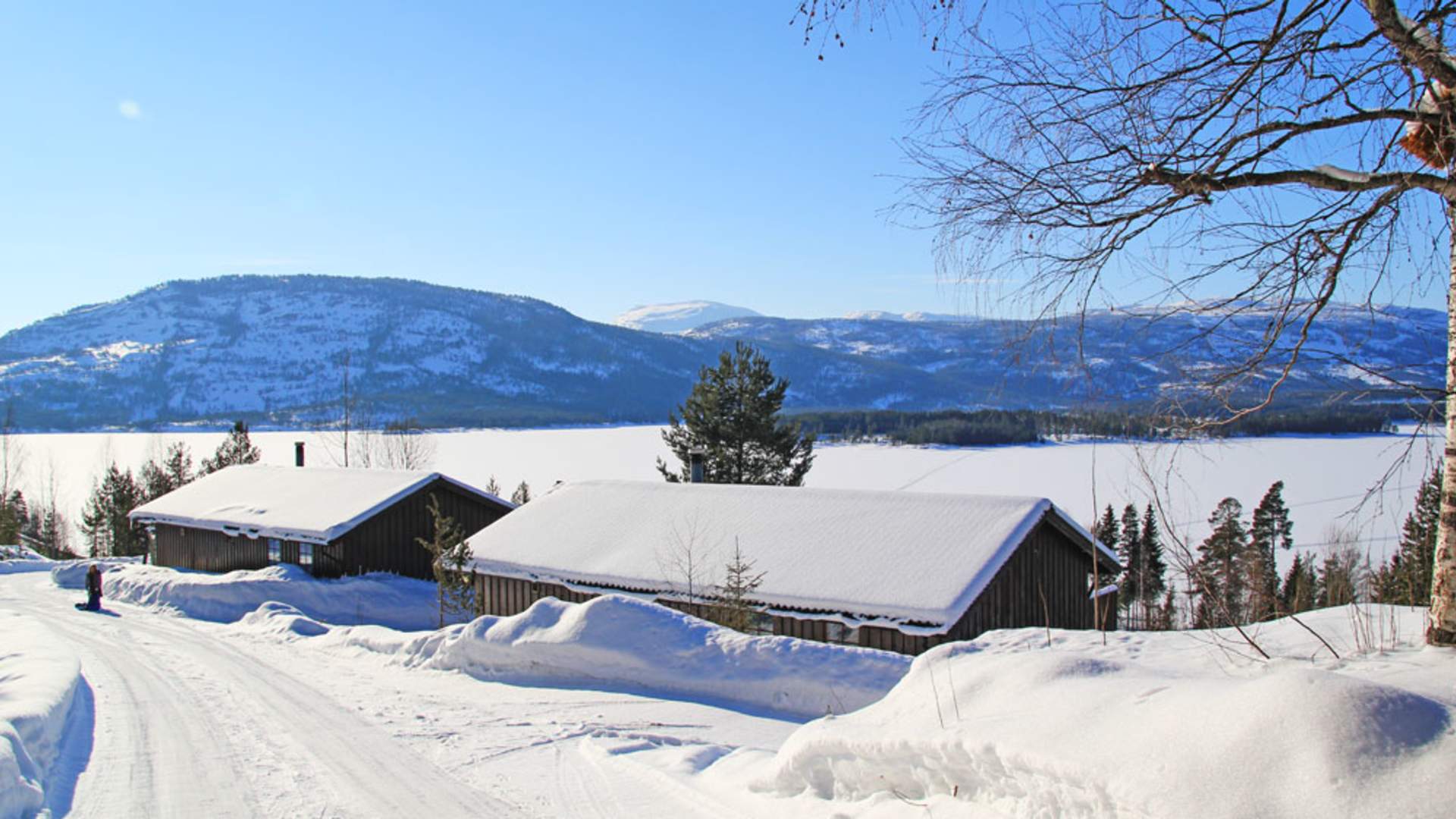 Vrådal Hyttegrend vinter