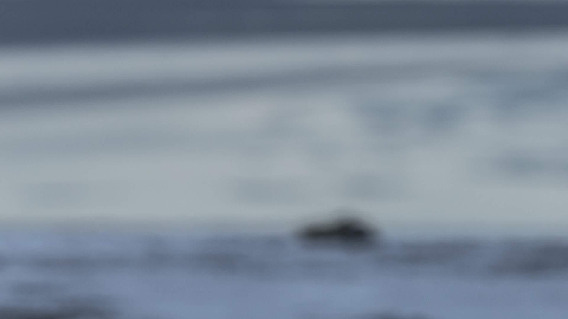 _F6I1147
