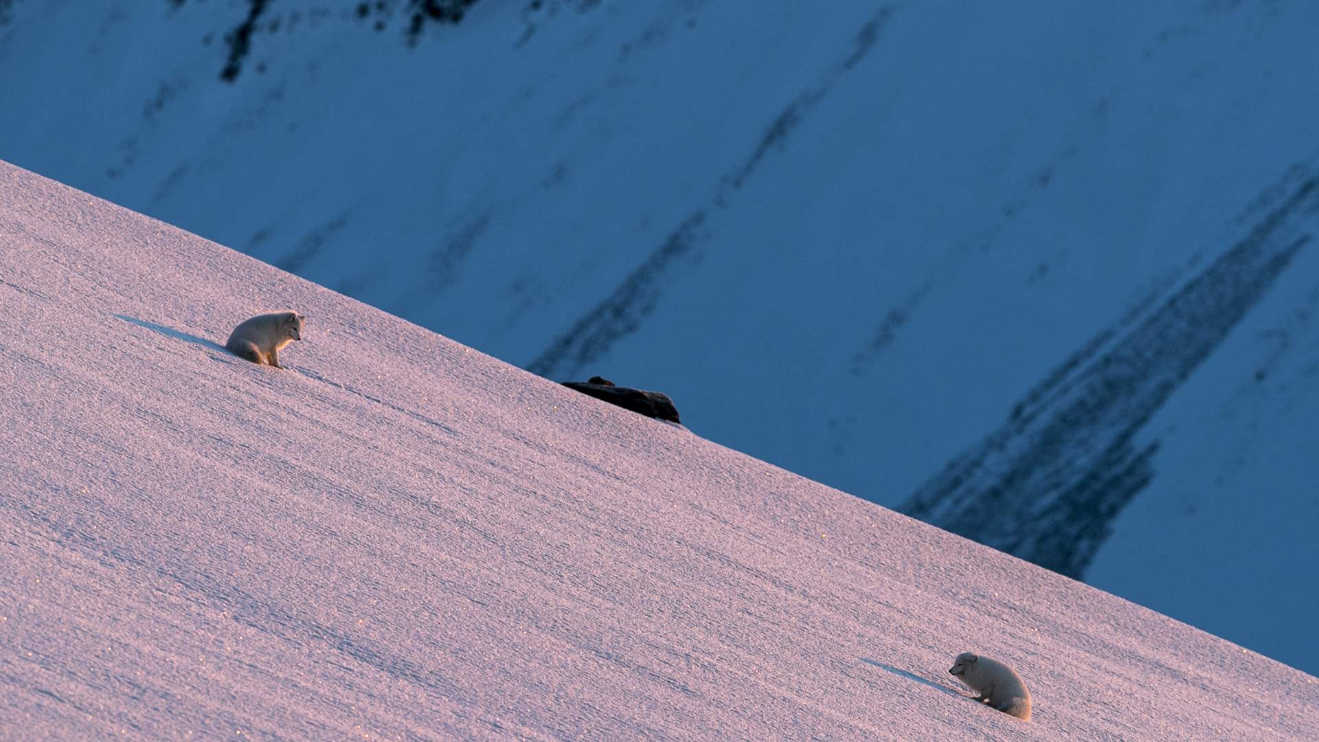 _F6I6951