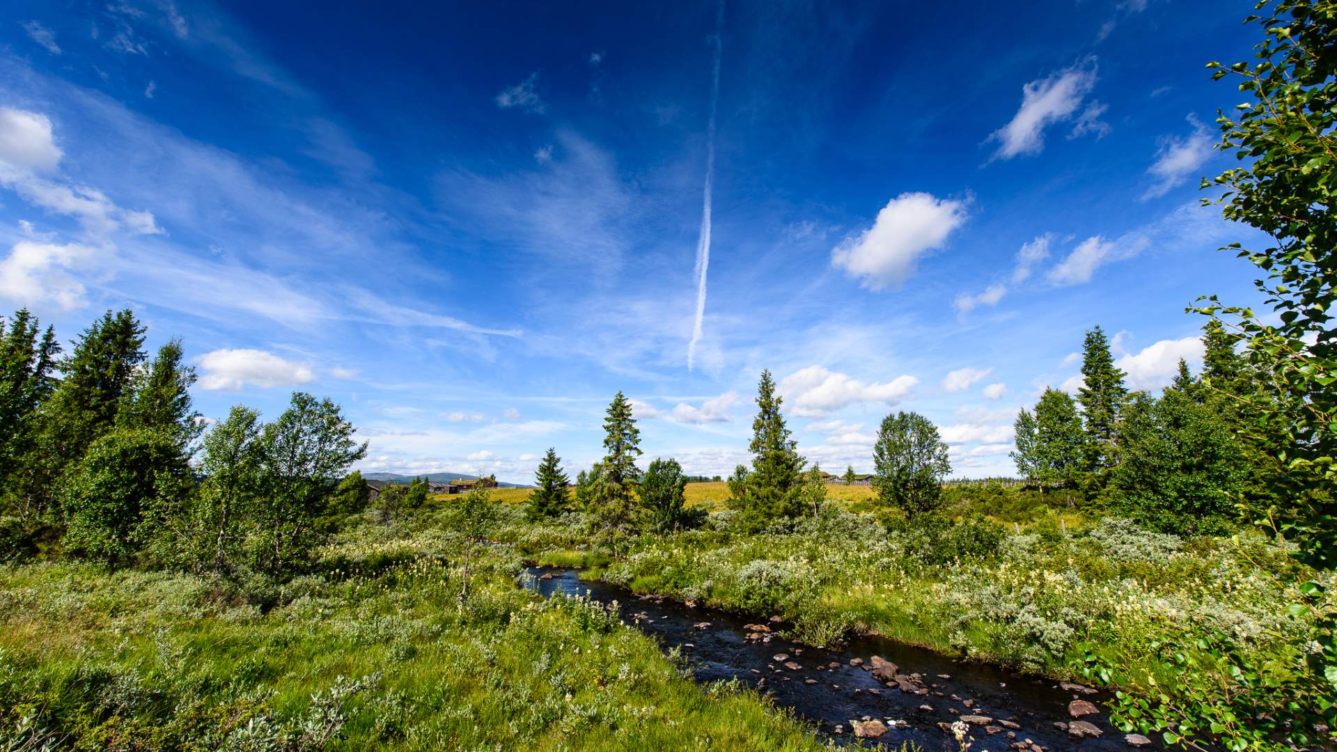 _IB73753-Kittilbu-IanBrodie-VisitLillehammer