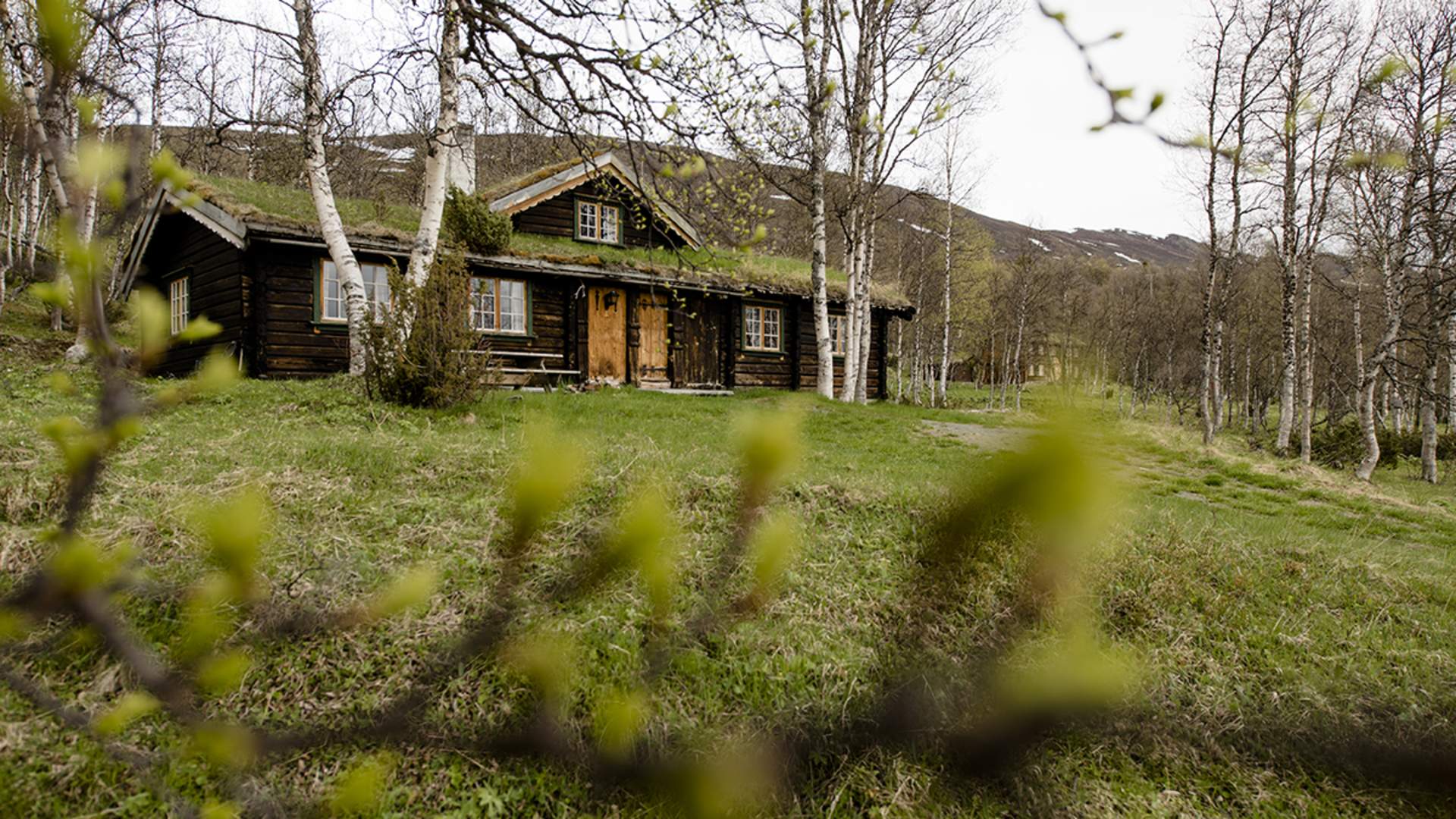 _MID1023liten