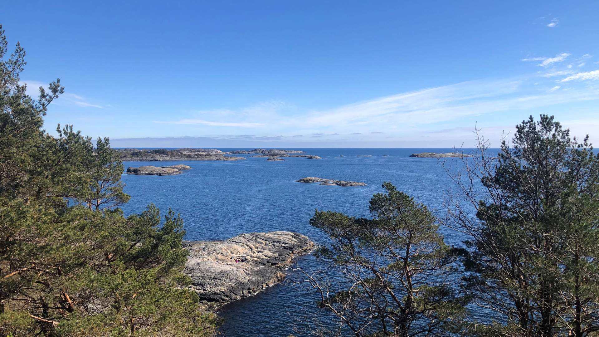 Østerhusskogen 1