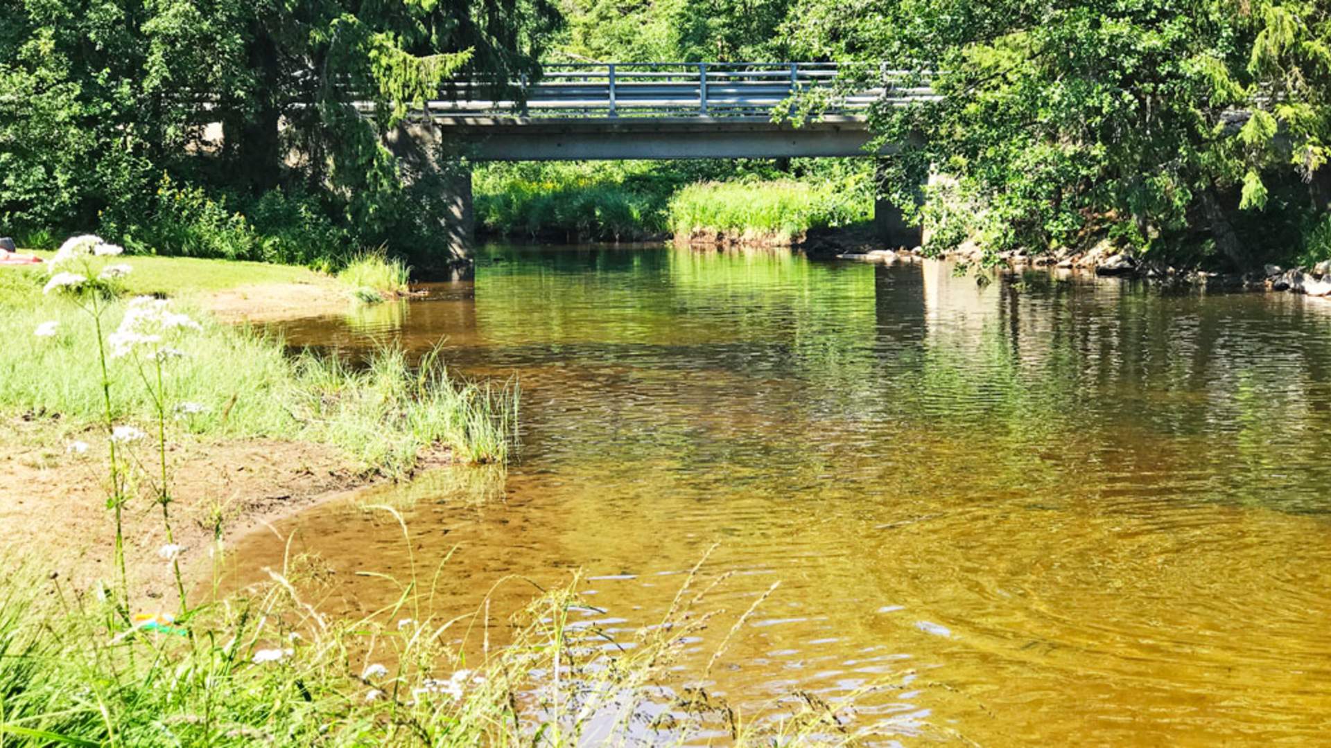 Bliva badeplass
