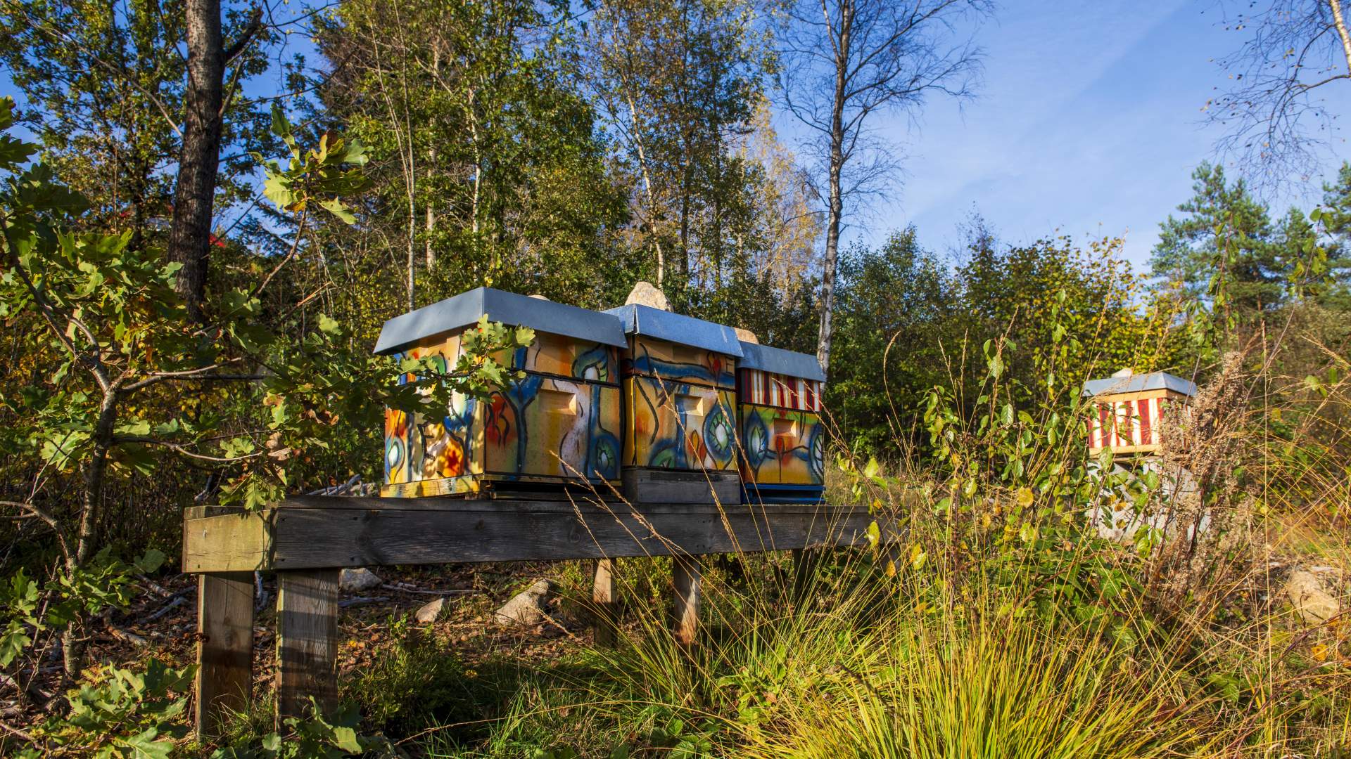 bikuber---asbjrnsen-bakeri-og-grdsutsalg---kvinesdal---gjermund-glesnes_53279615256_o