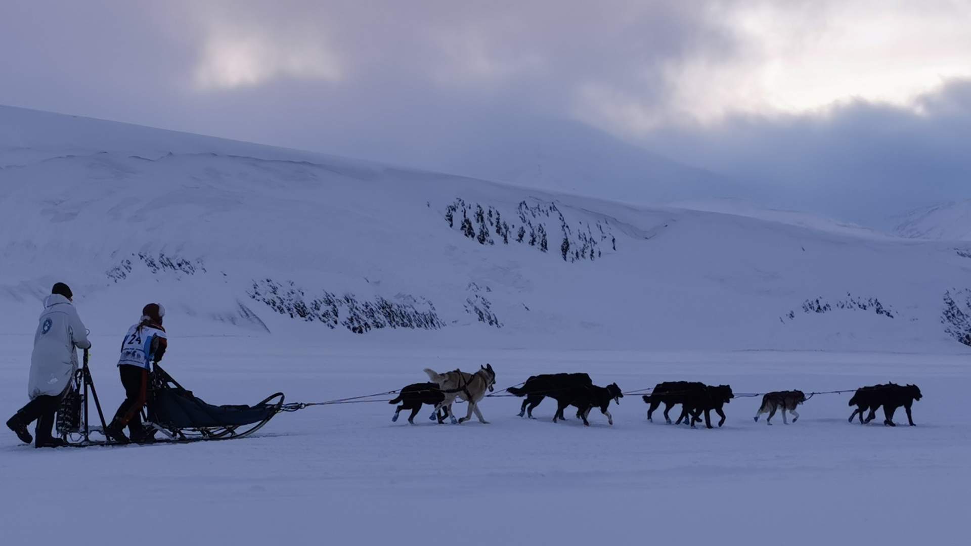double sled