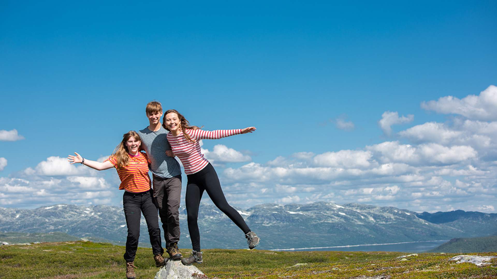 falkeriset 4 foto mona b kasin_web