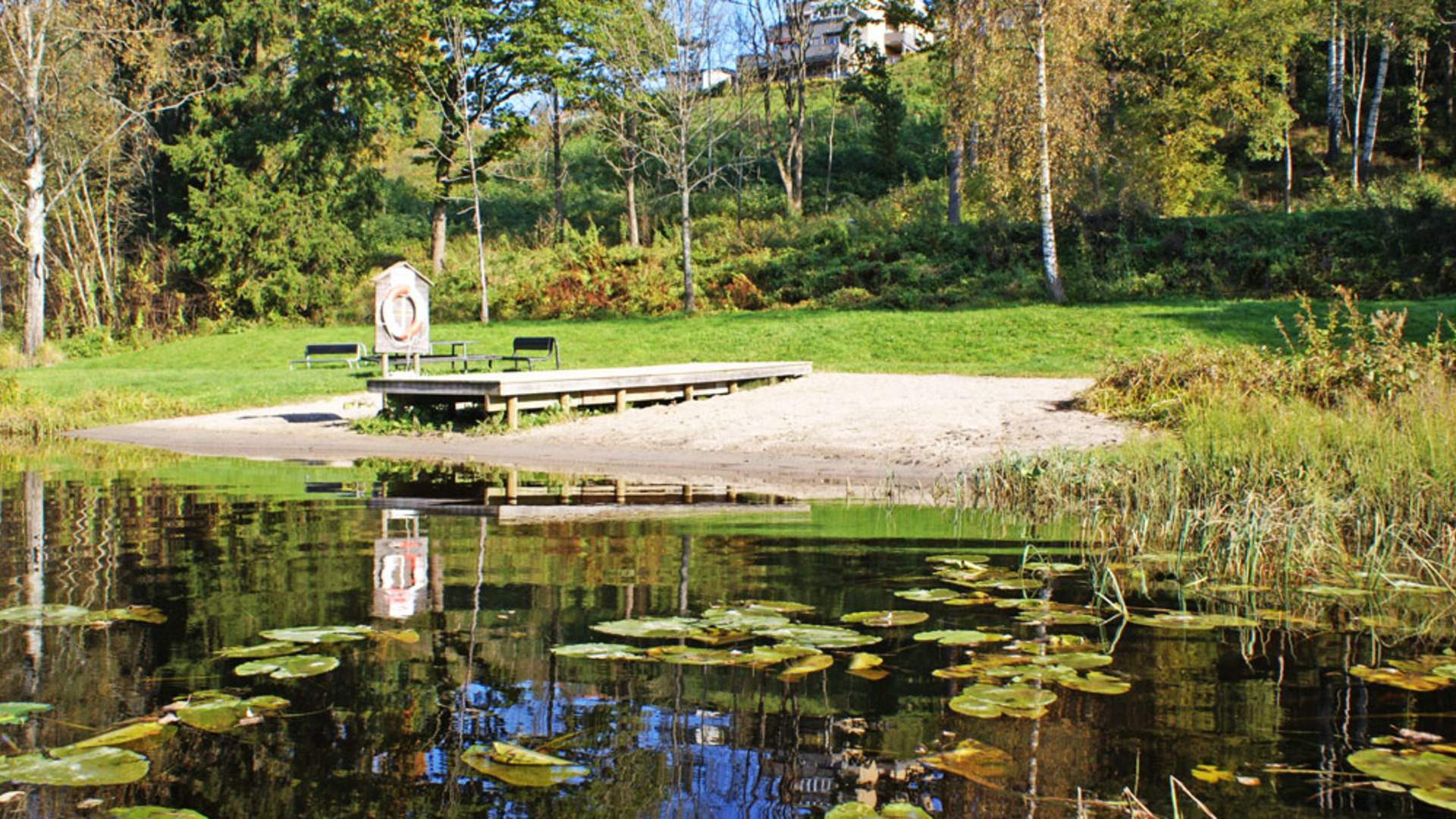 Falkumlia badeplass