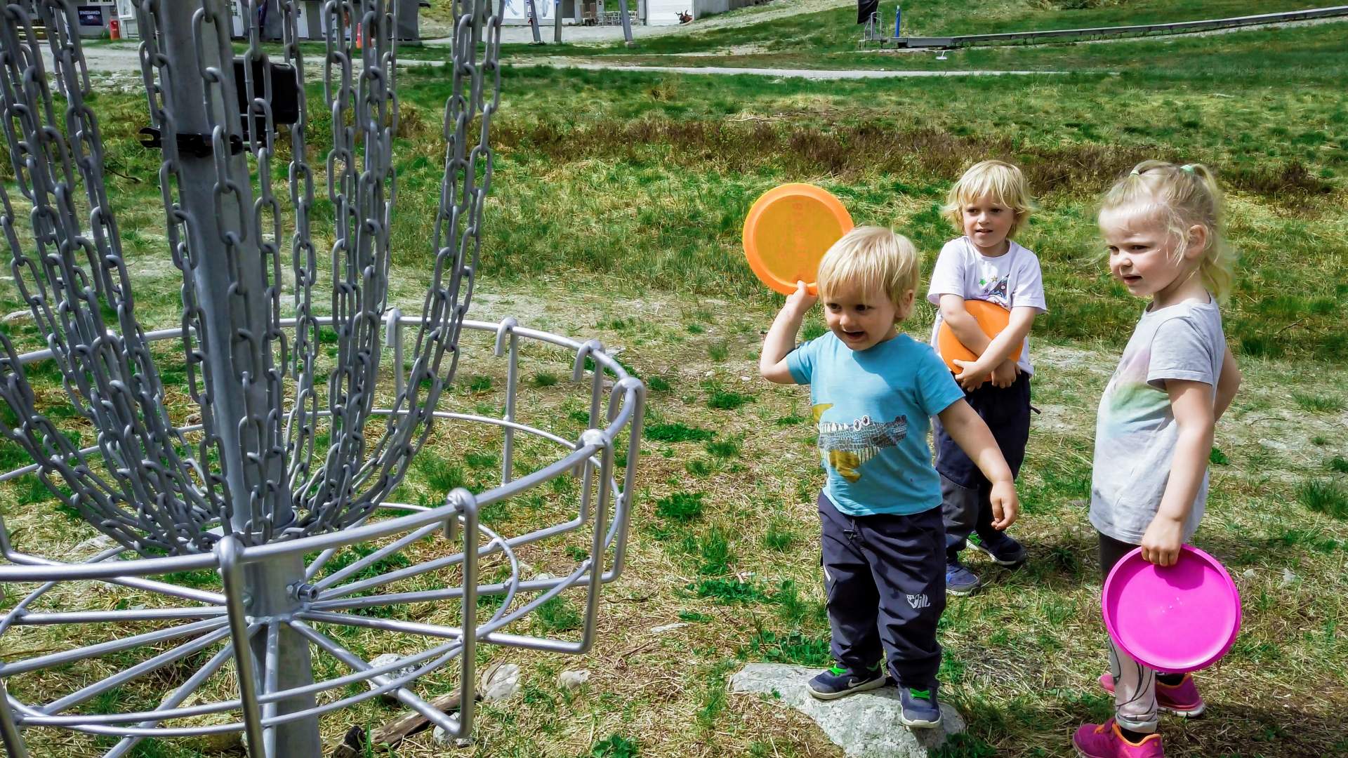frisbeegolf, Foto Tor Reidar Austrud