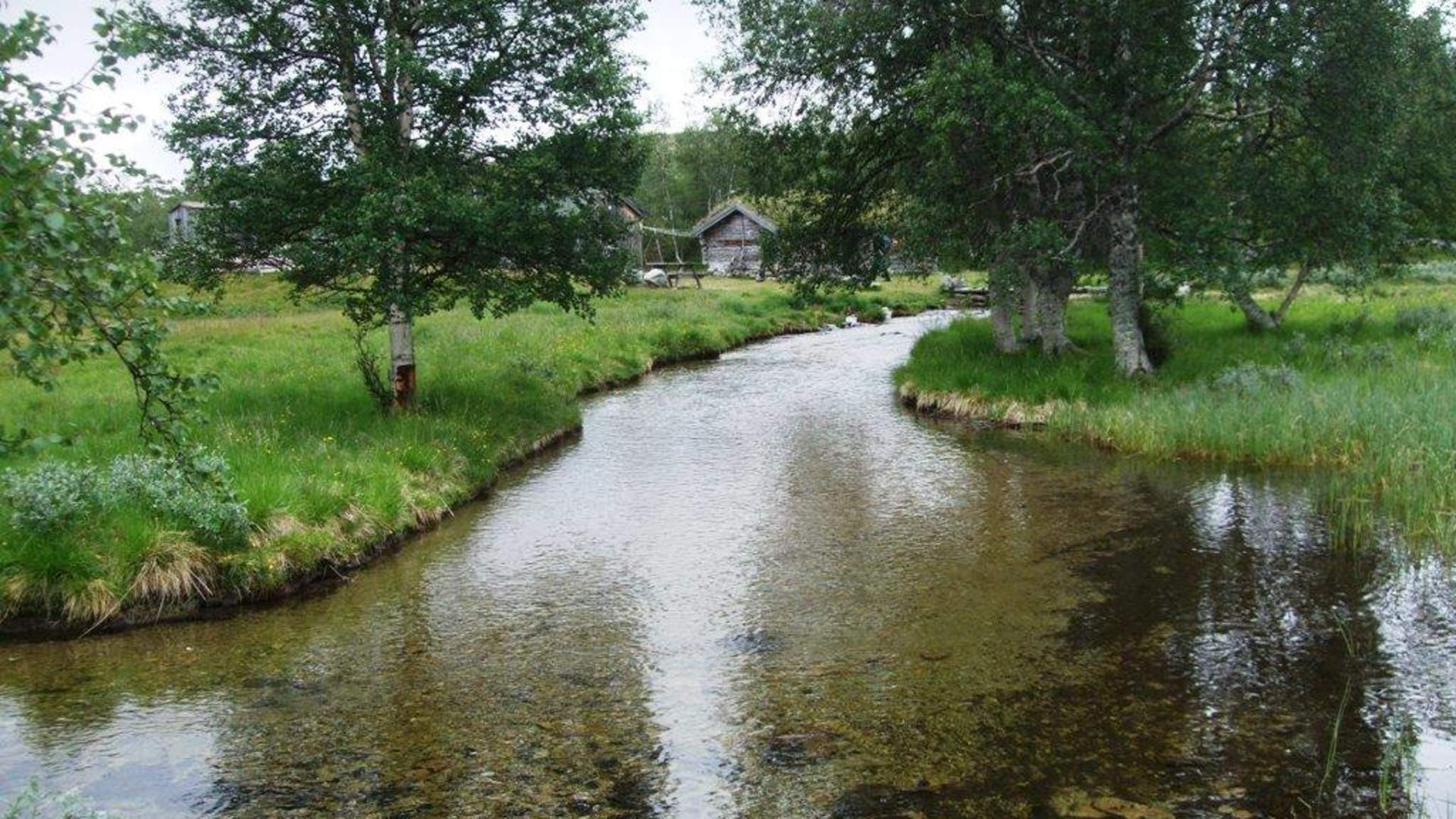 Grotødalsetra-erland-bjerke