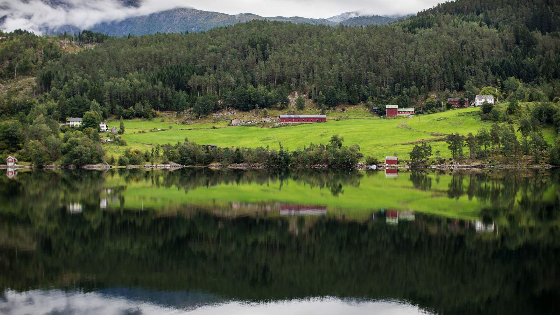 hardanger19