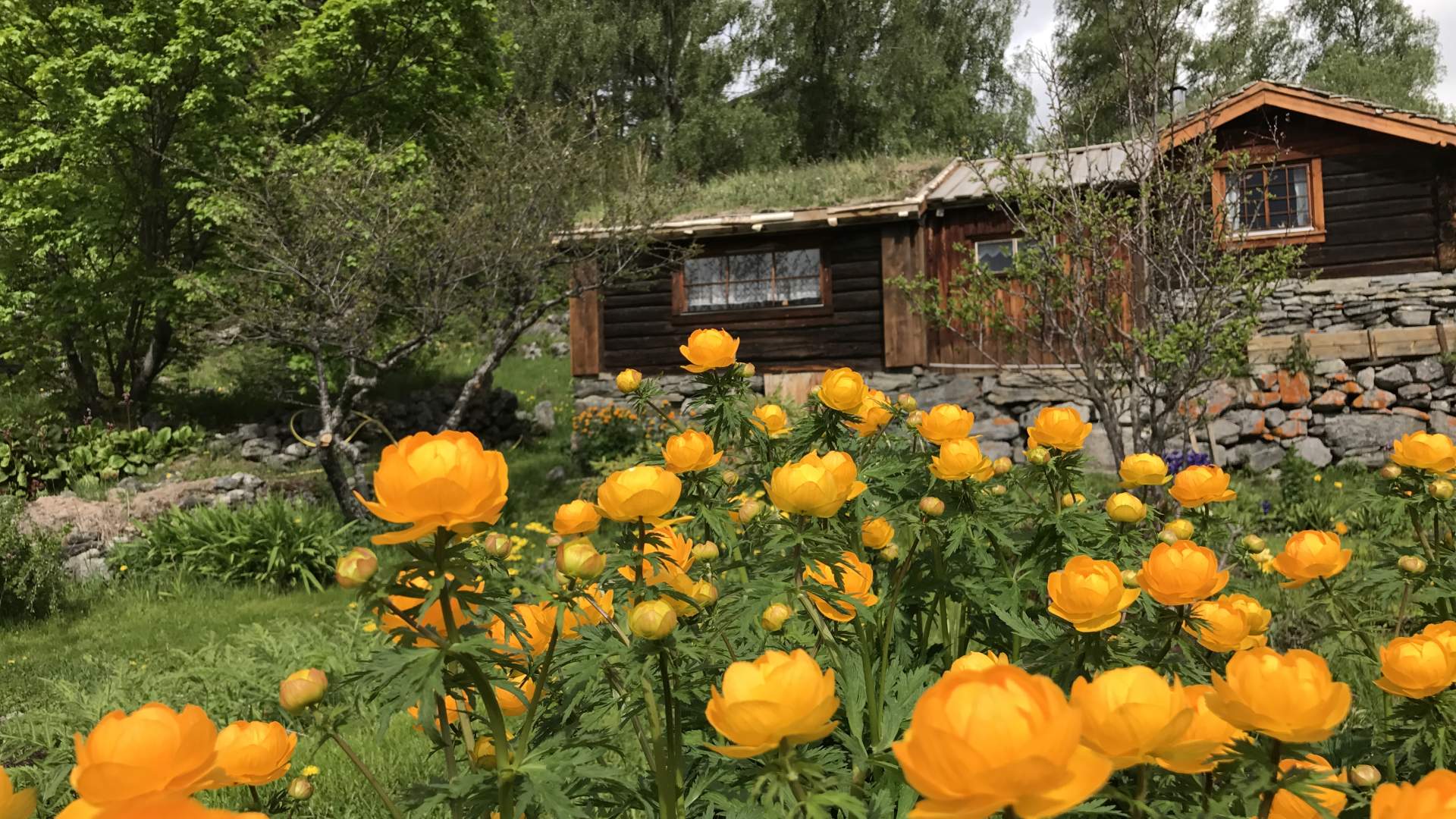 Haukdalen Kulturformidling