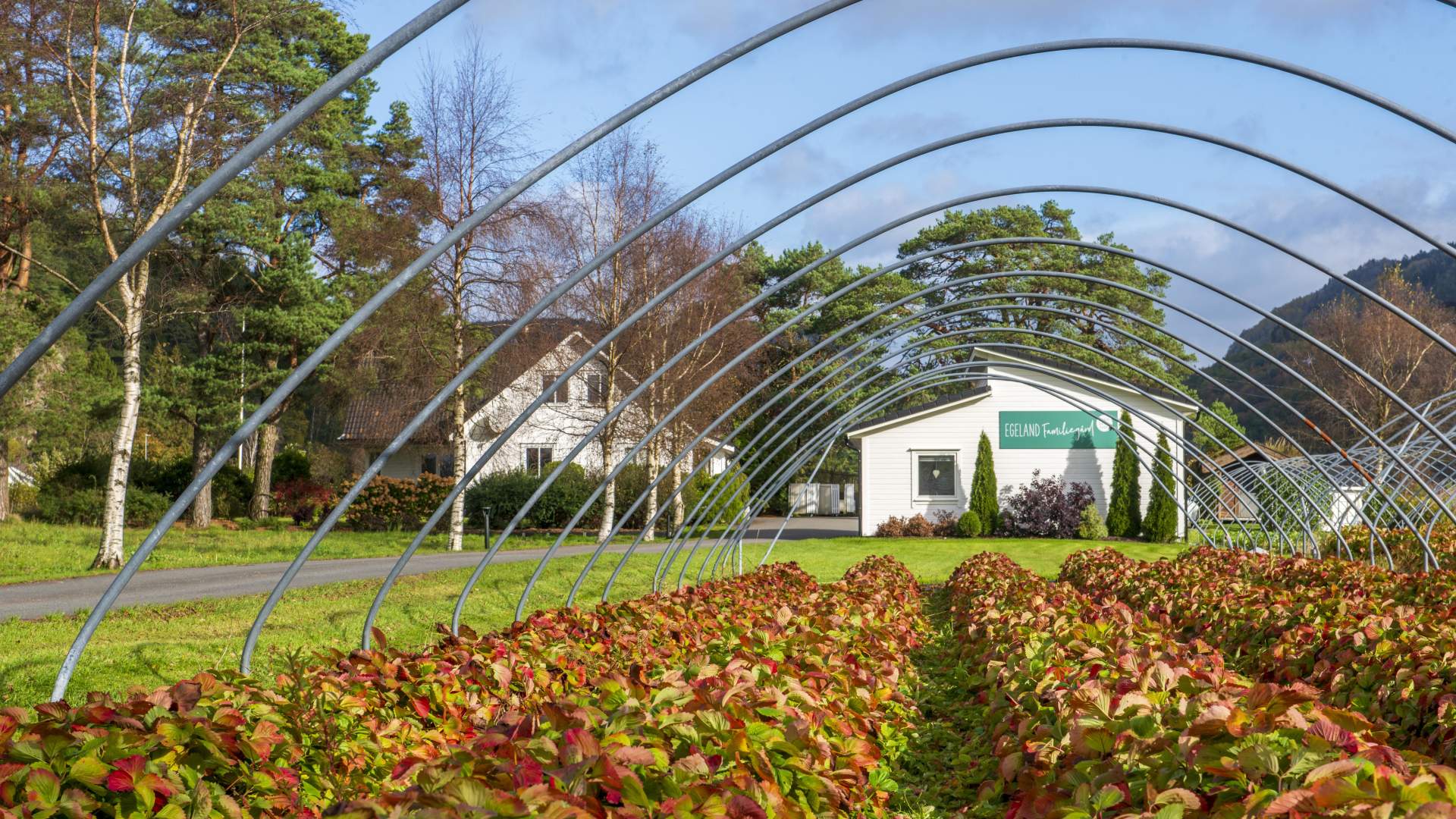 hstfarger-i-jordbrkeren---egeland-familiegrd---kvinesdal---gjermund-glesnes_53278726192_o