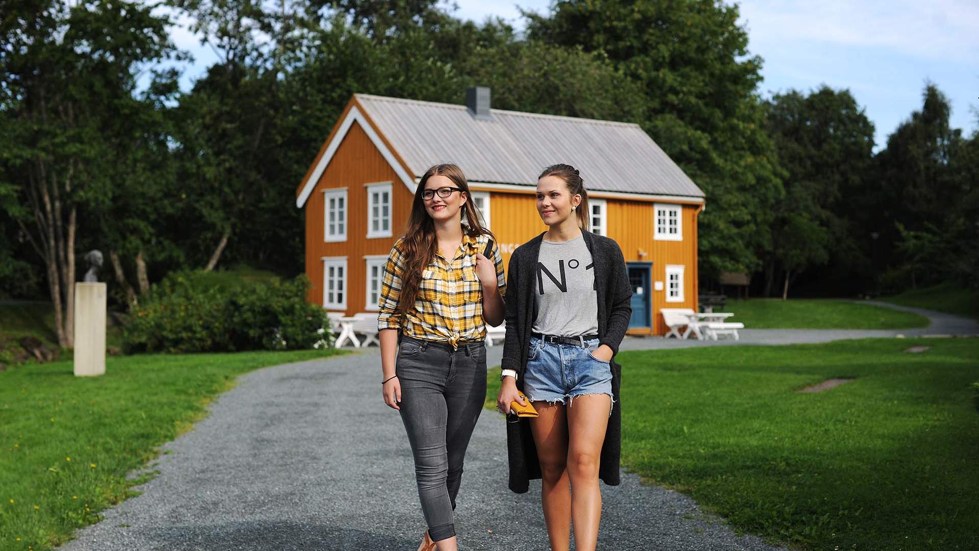 inderøy muustrøparken folk foto RUA (21)