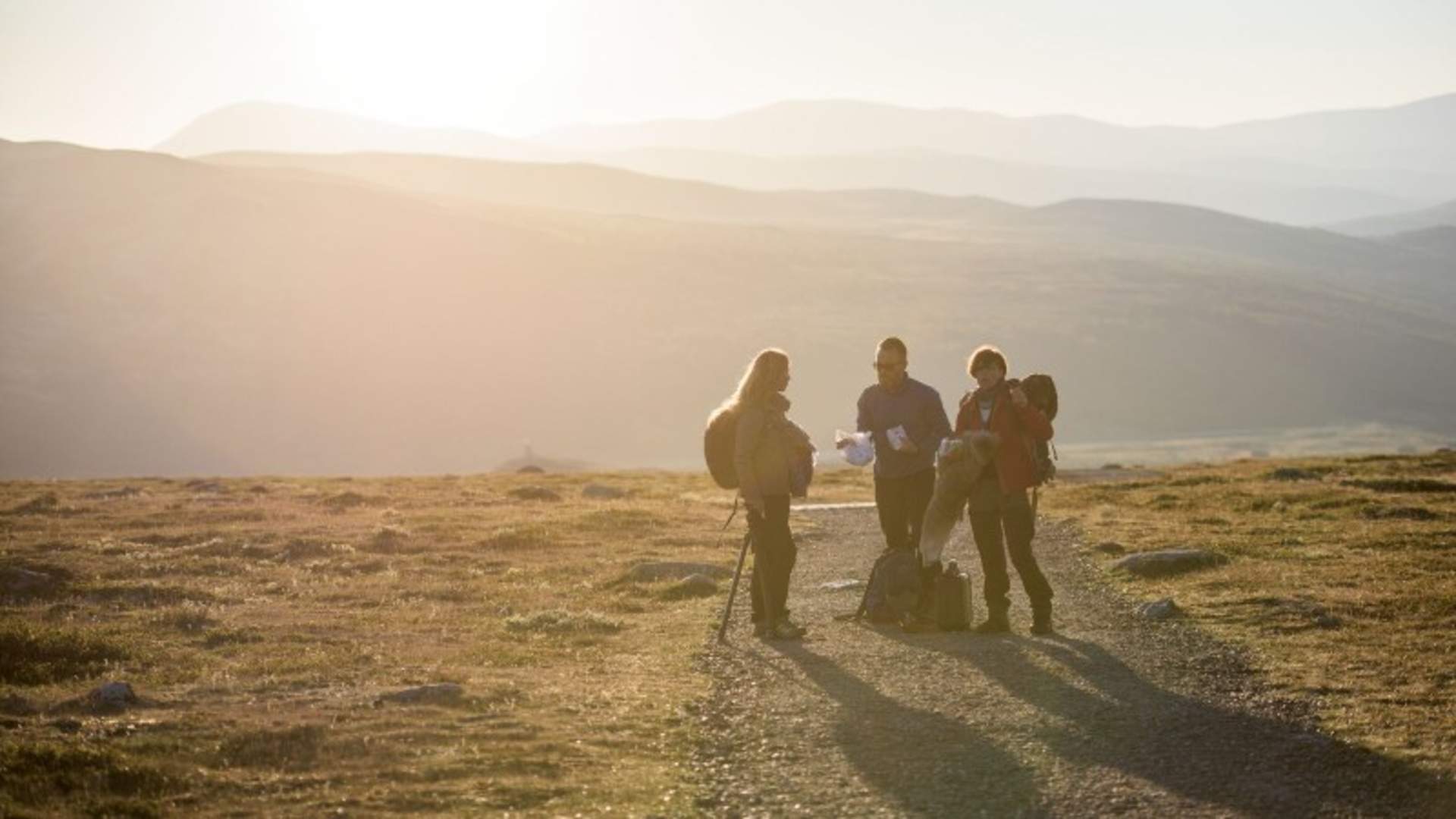 Hiking at Hjerkinn Dovre