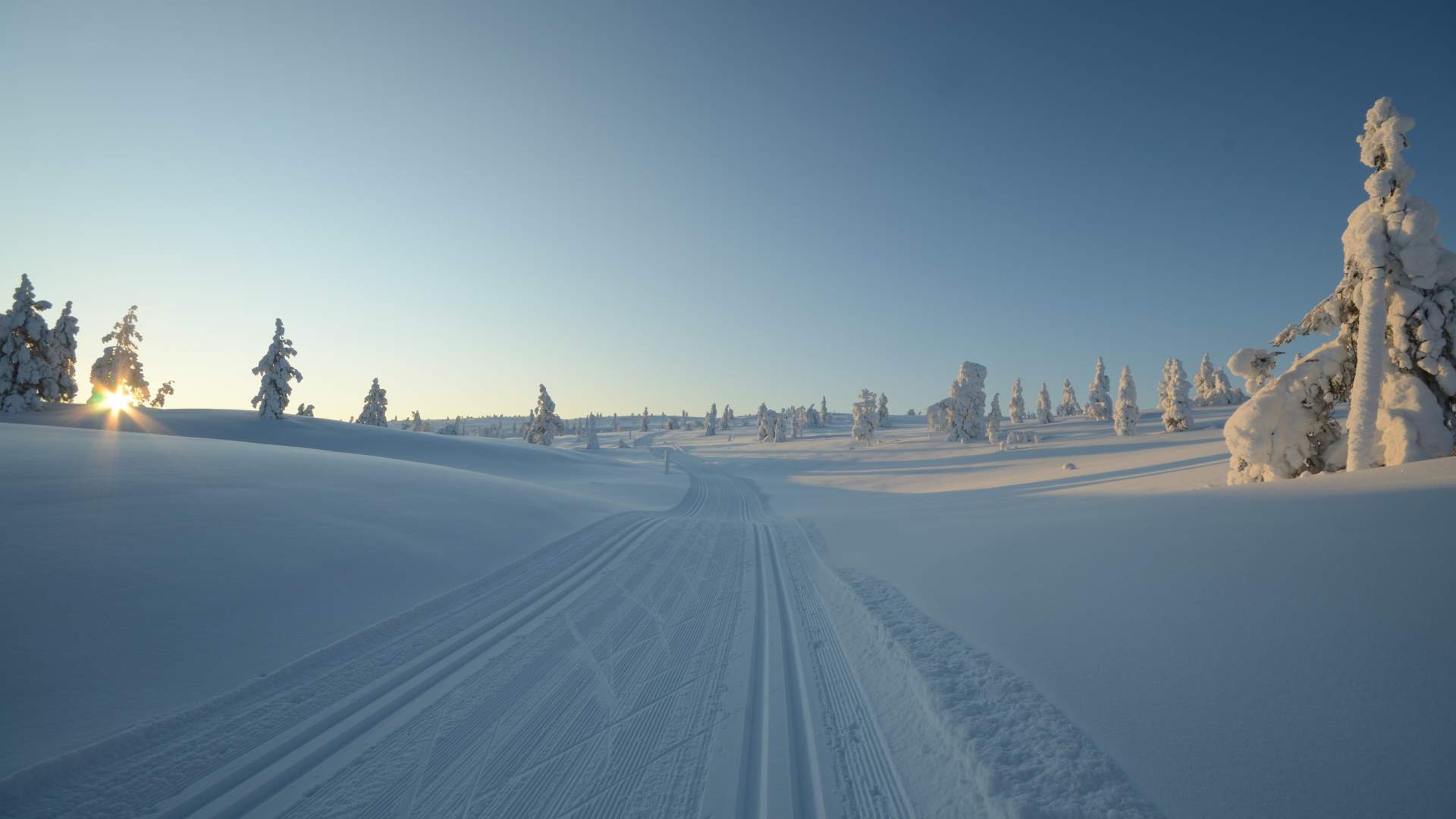 markus-wagner-icOmCiGX-3I-unsplash