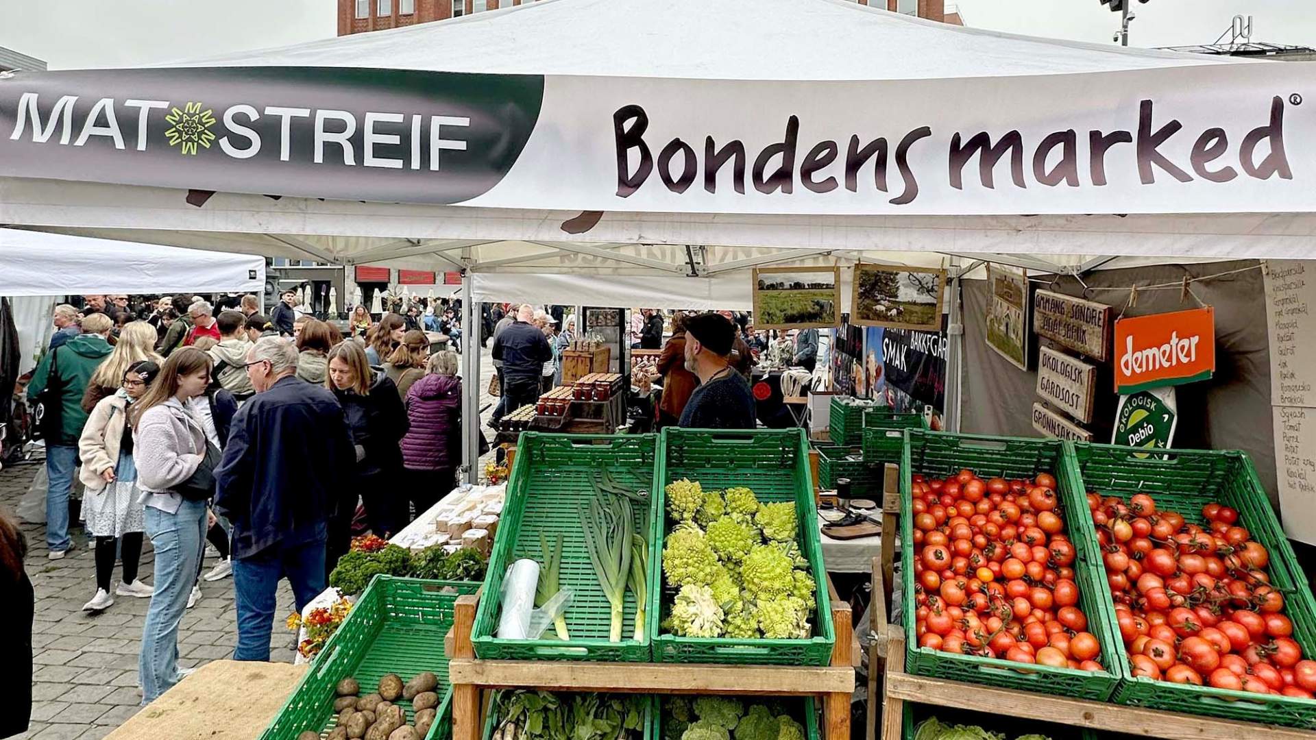 Matstreif