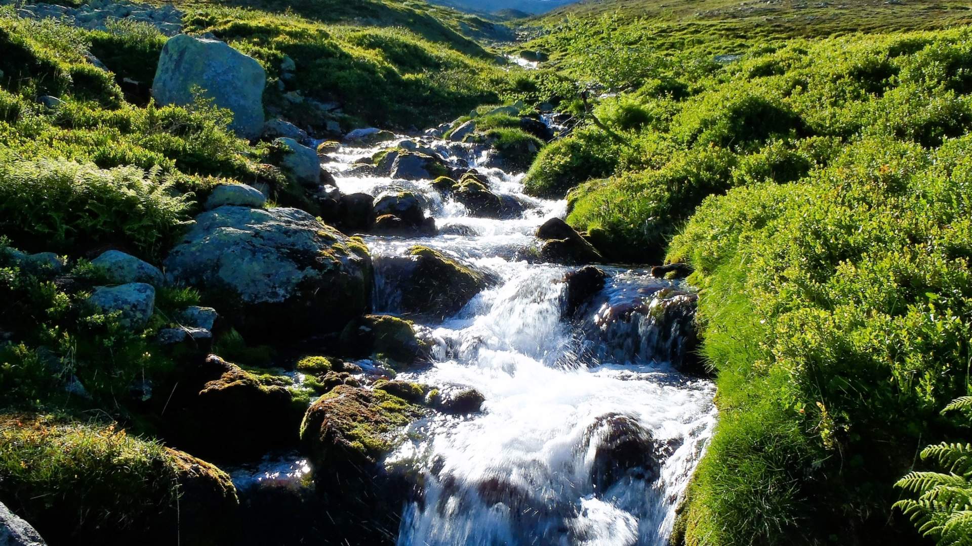 natur-retreat-veränderung-leben