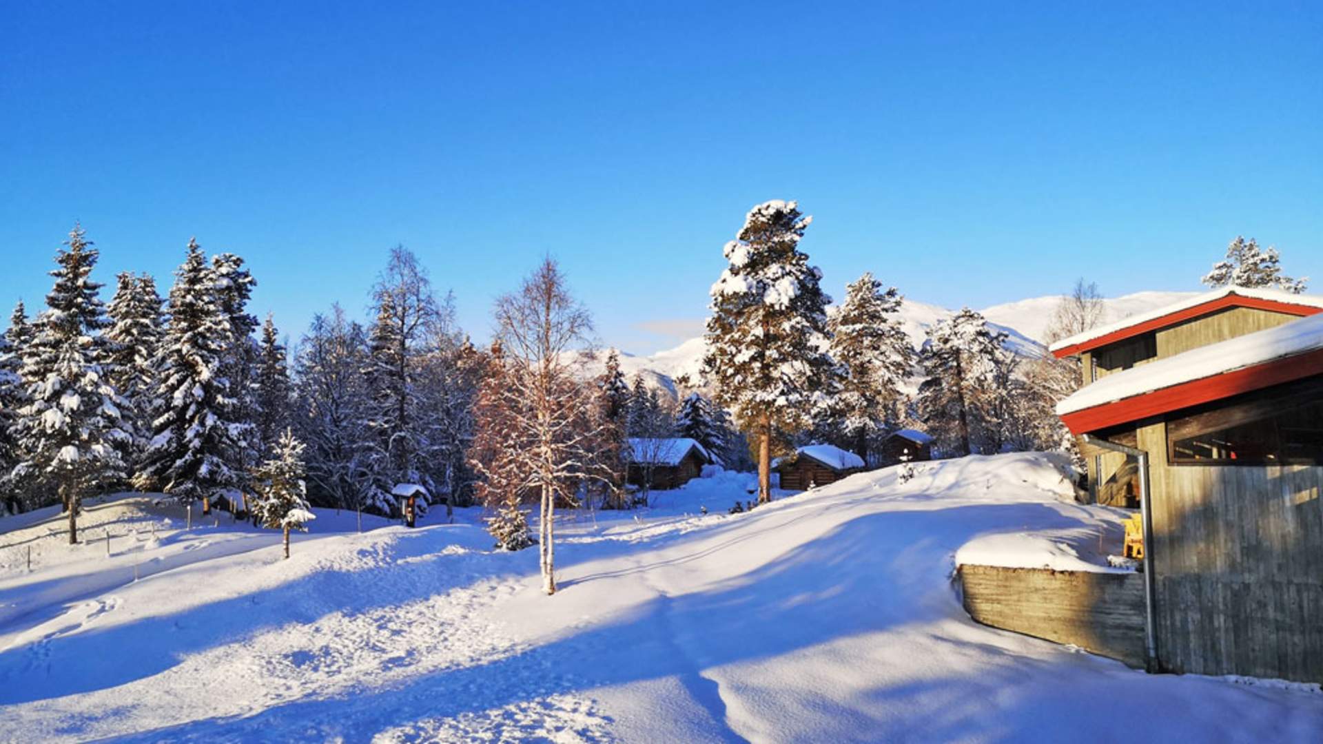 raulandsakademiet-vinter_web