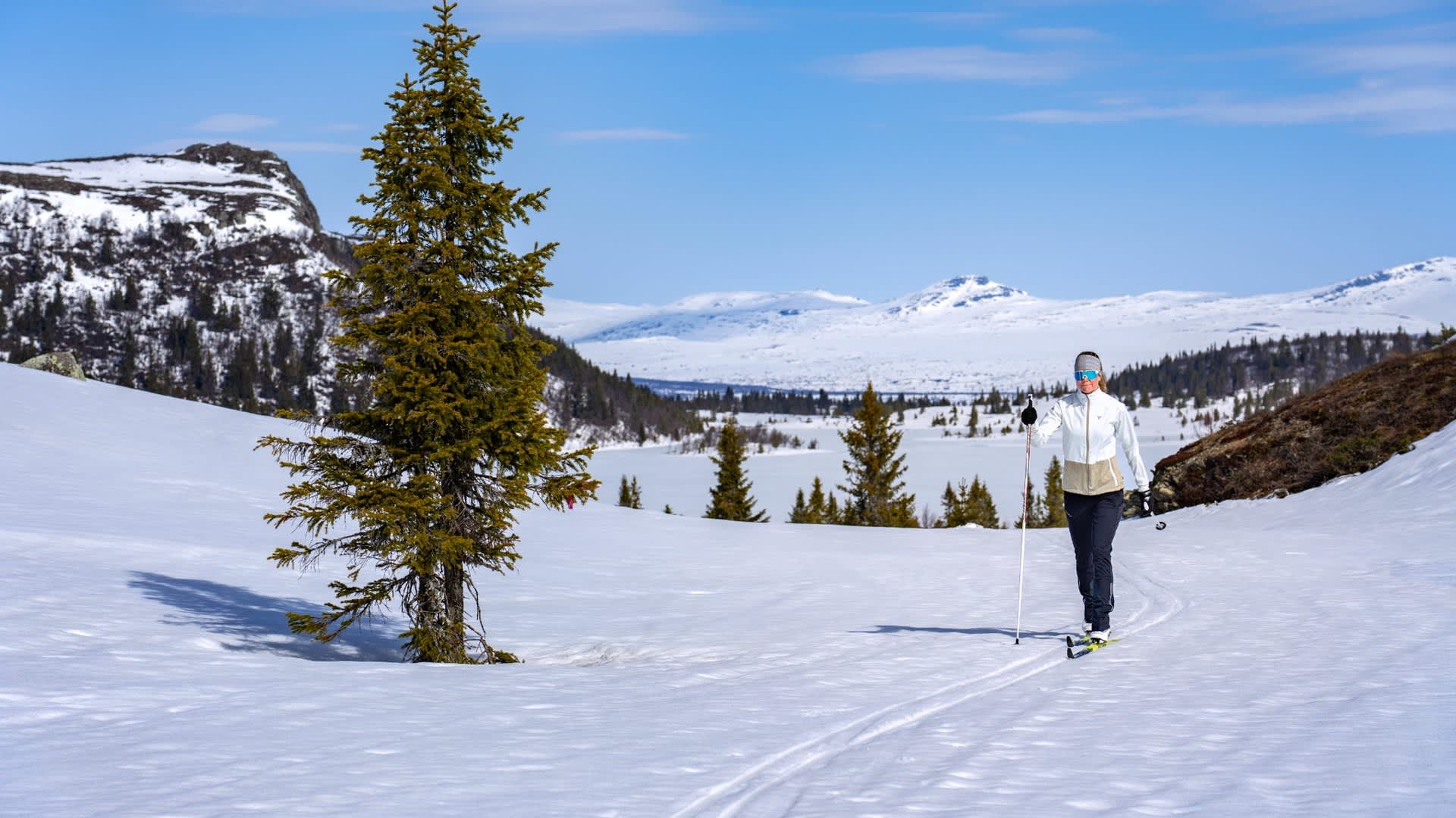 resized_Cross-Country_skiing_Valdres_©Petr_Pavlicek_-_JVB_Travel_(1)