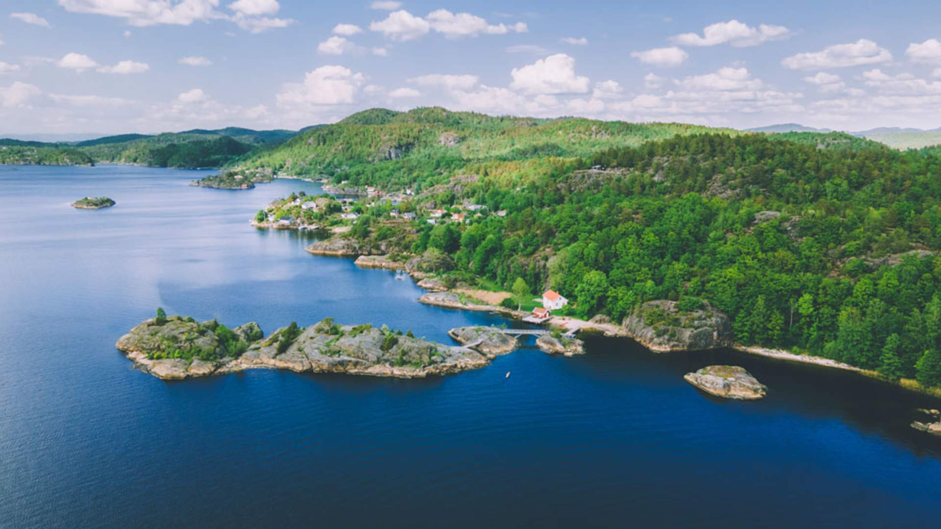sildevika-Foto_MariusDalseg_web