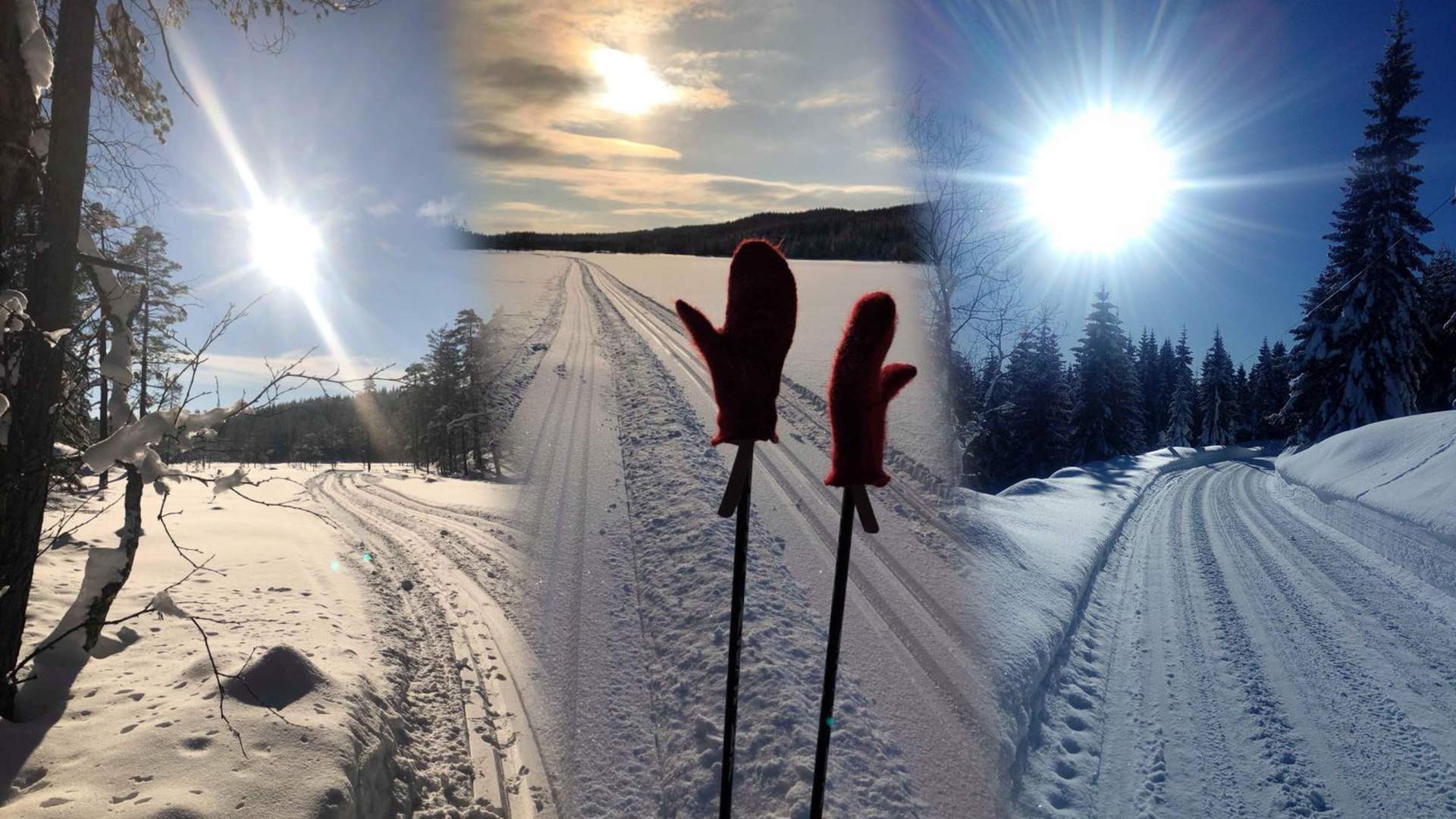 skiløyper Jevnaker