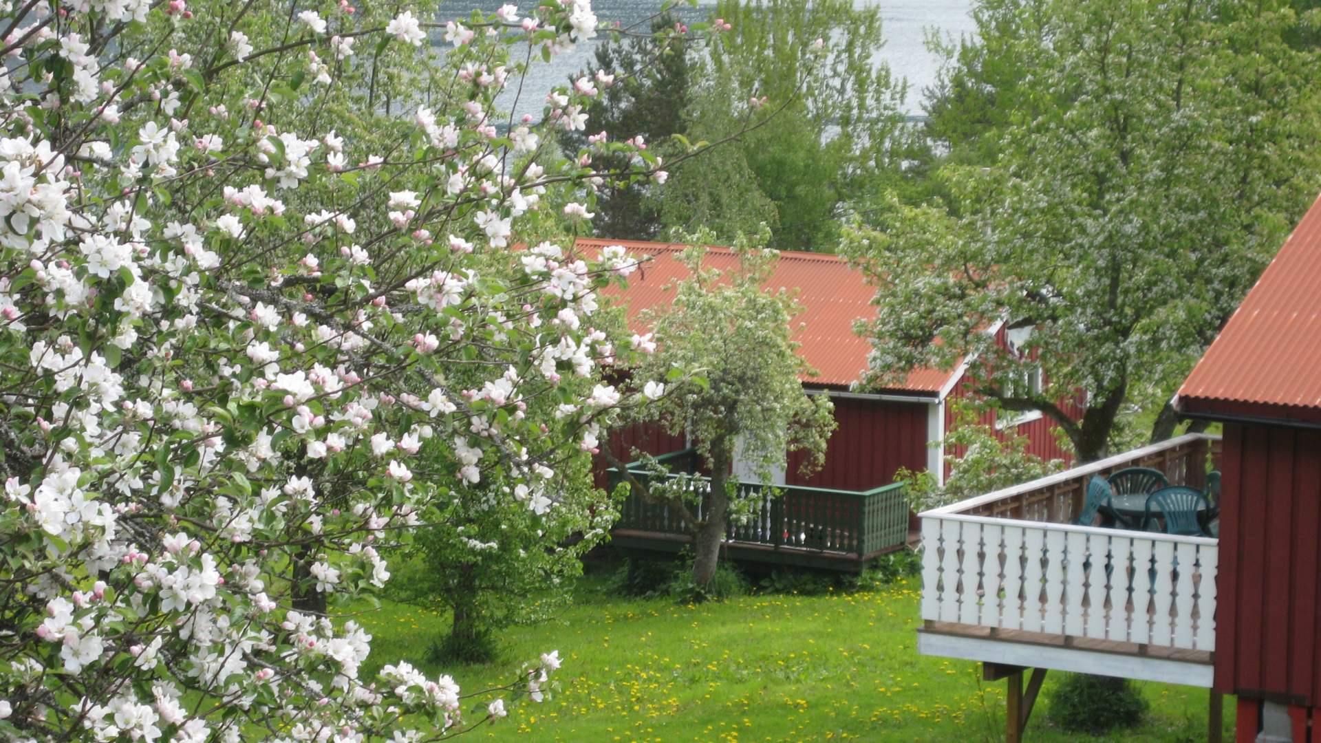 Dragsvik Hytter