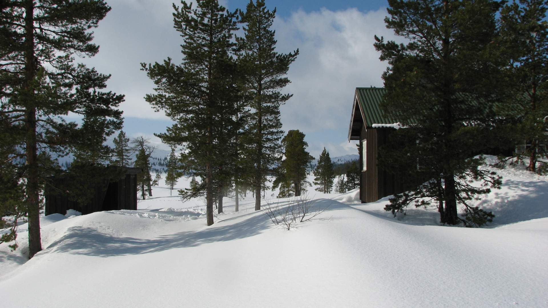 snåsa snåsa fjellstyre kvernsjøhytta vinter(8)