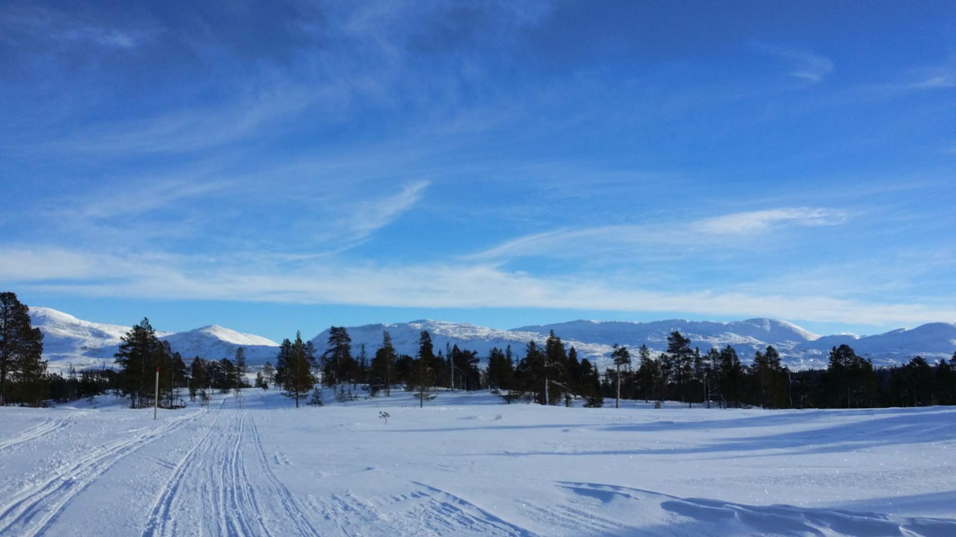steinkjer norges geografiske midtpunkt skjækra vinter ski visit innherred(11)