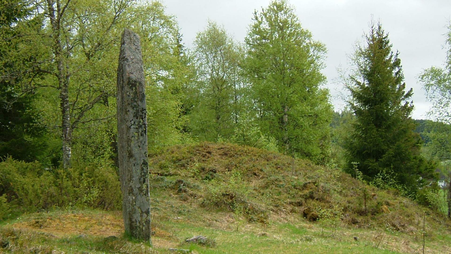 steinkjer skeifeltet gravhauger (1)
