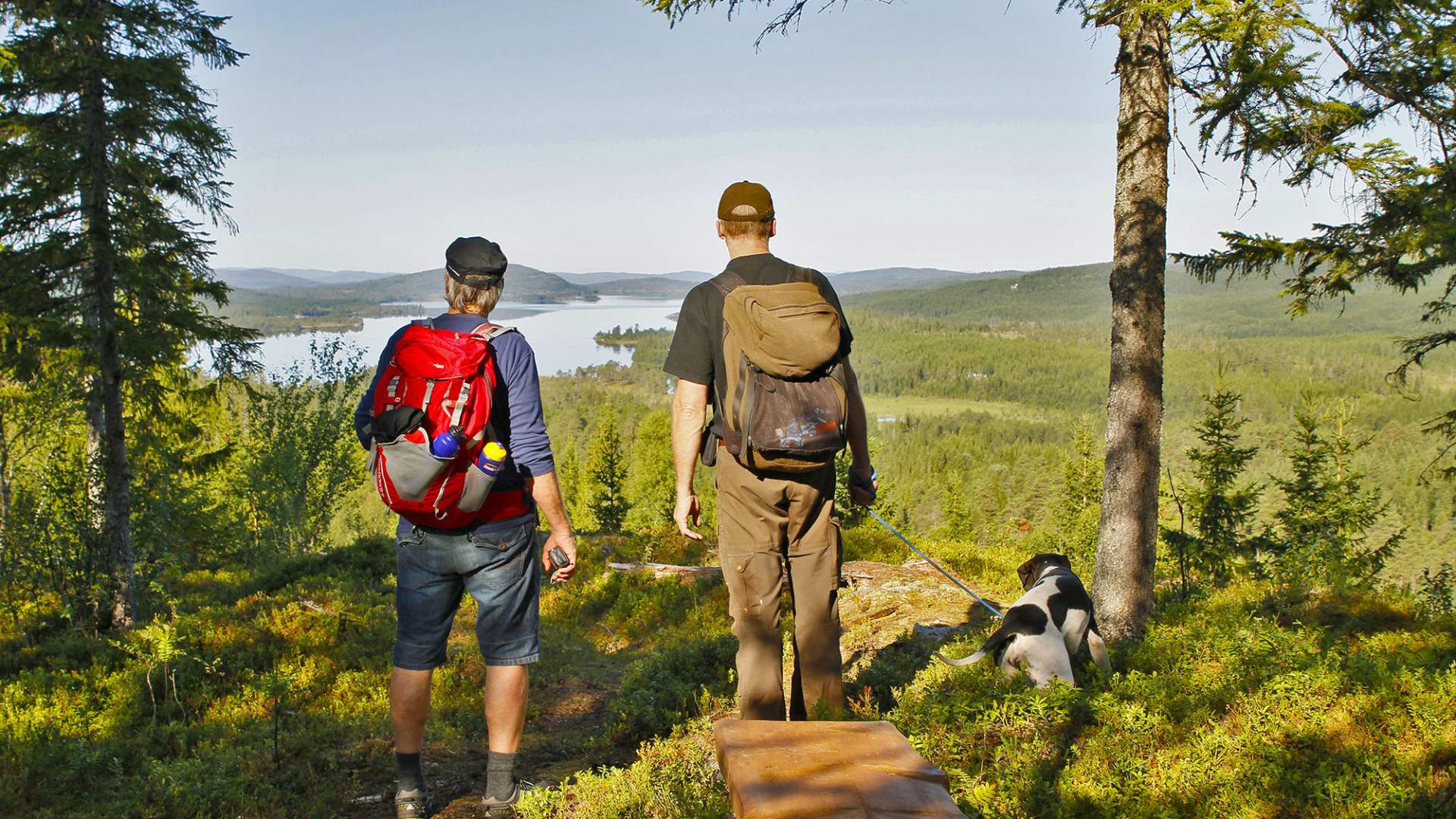steinkjer steinkjer kommuneskoger vandring norges geografiske midtpunkt (19) WEB