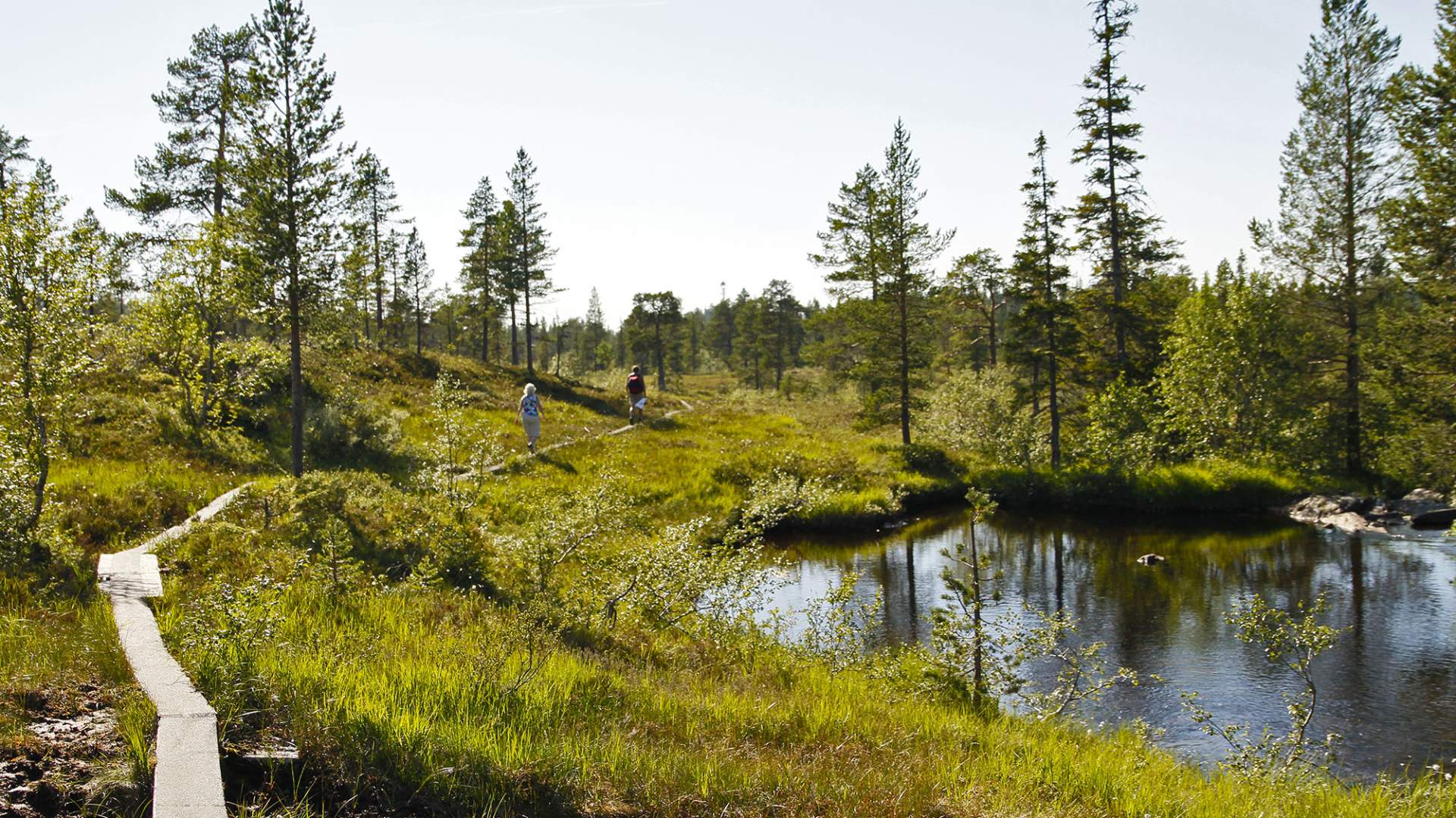 steinkjer steinkjer kommuneskoger vandring norges geografiske midtpunkt (2) WEB
